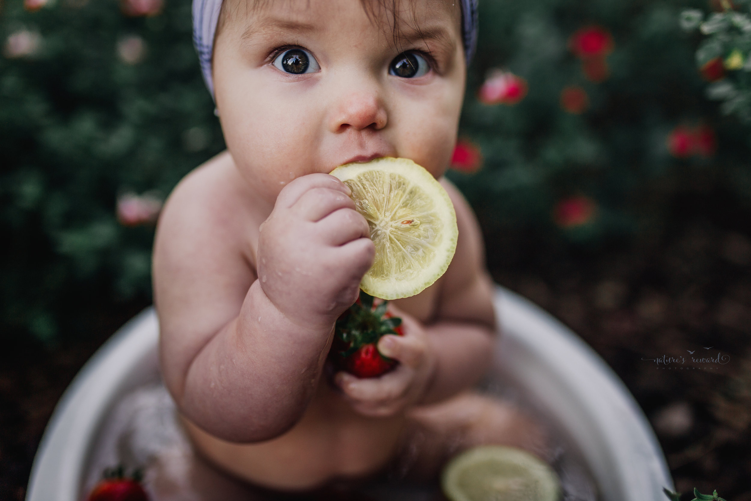 Sitter session fruit bath with lemons that she loved!