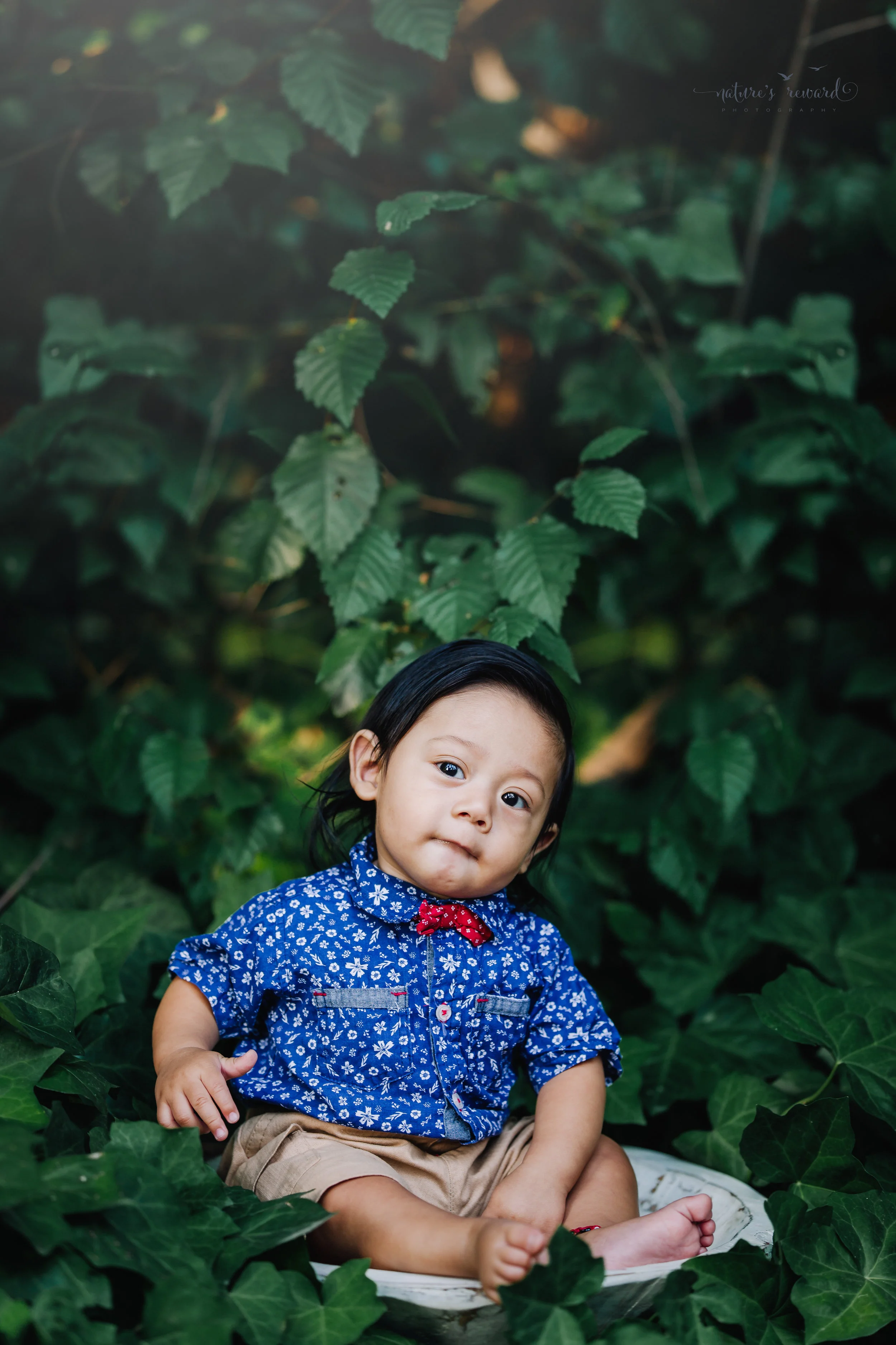 Six month old sitter session in the ivy wearing a button down and a bow tie. A portrait by Nature’s Reward Photography