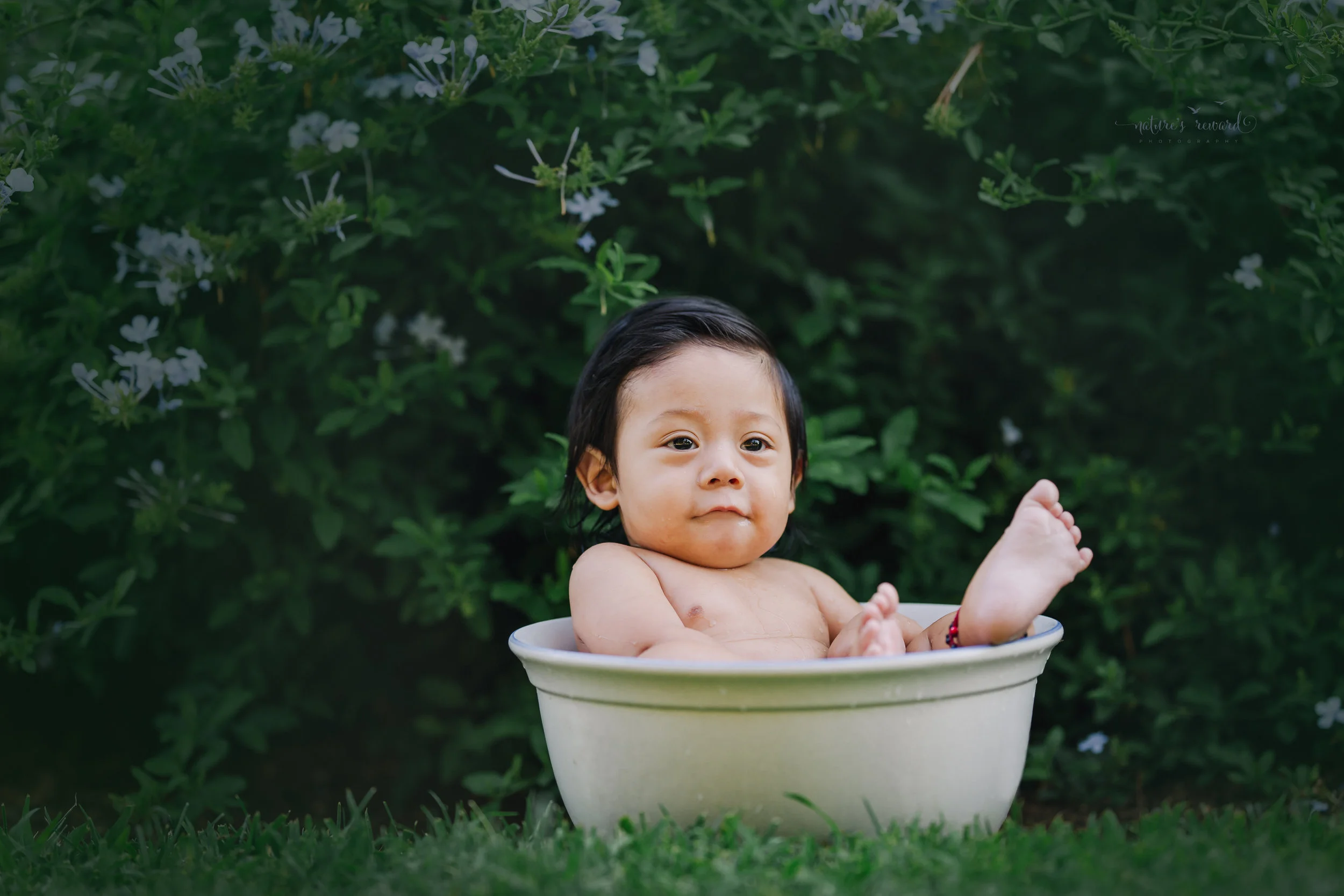A breast milk bath for this six month old baby during his sitter session- a portrait made by Nature’s Reward Photography