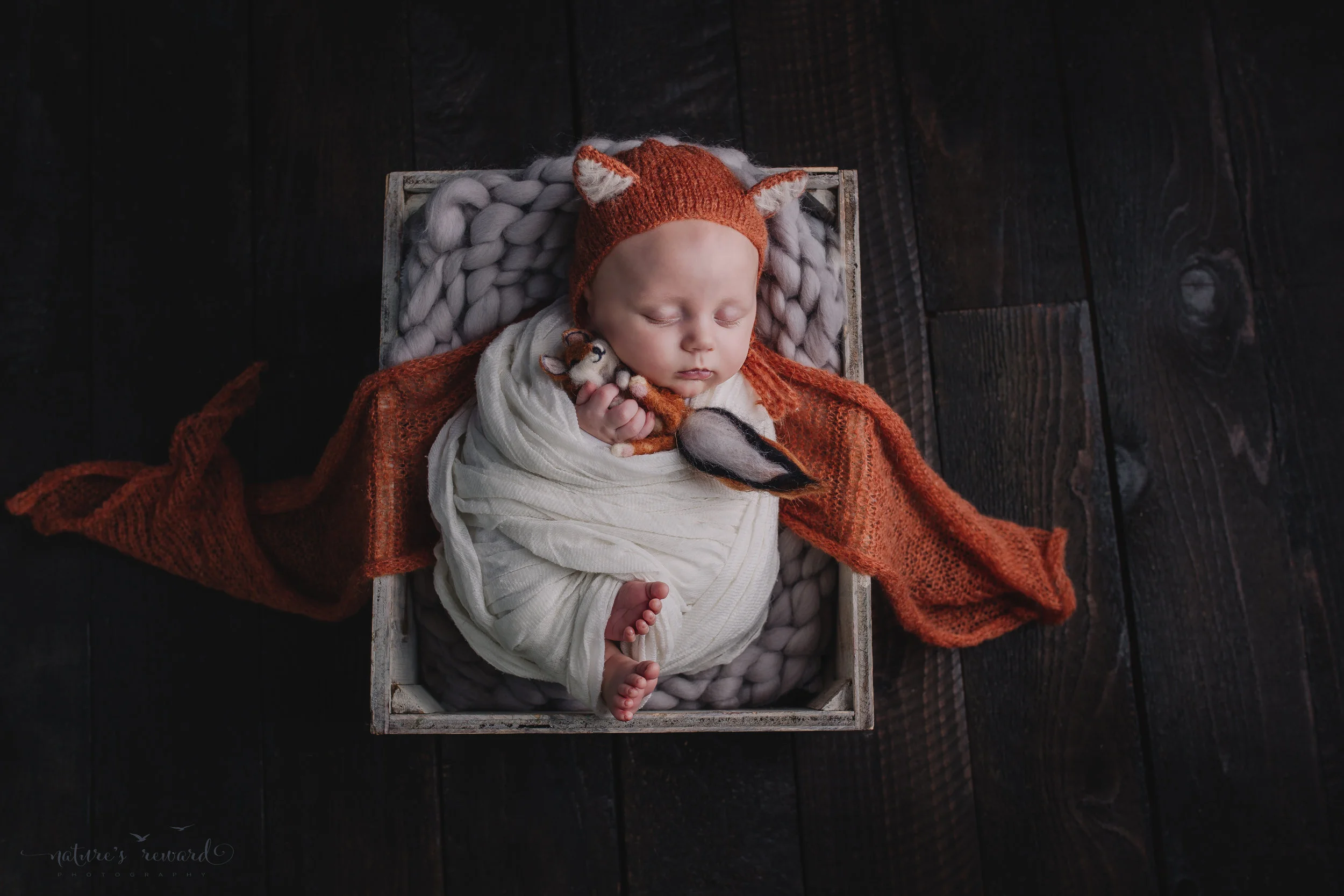 Two month old baby boy newborn baby boy session in a box on a wood floor wearing a fox hat and holding baby fox stuffed animal- a portrait by Nature’s Reward Photography