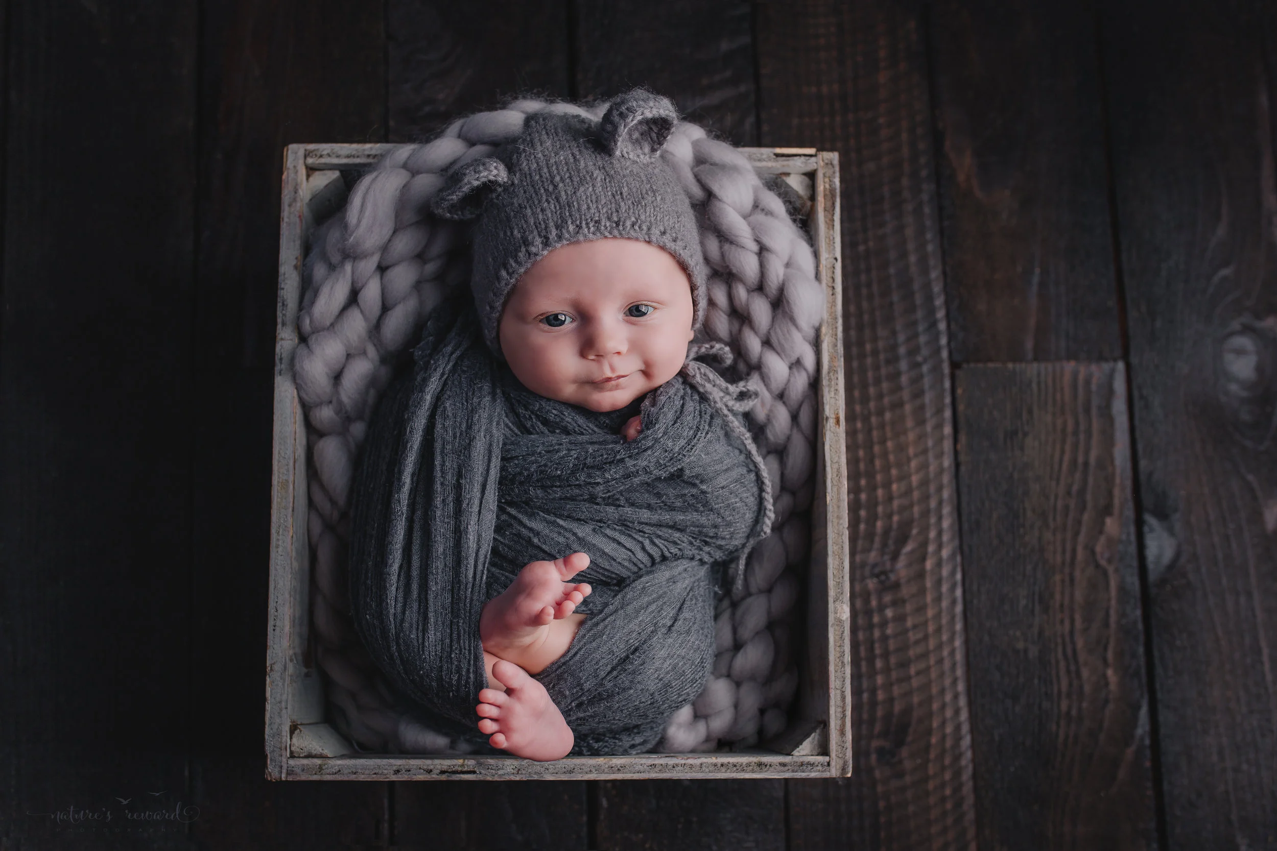 Two month old baby boy newborn baby boy session in a box on a wood floor wearing a teddy hat wrapped in grey- a portrait by Nature’s Reward Photography