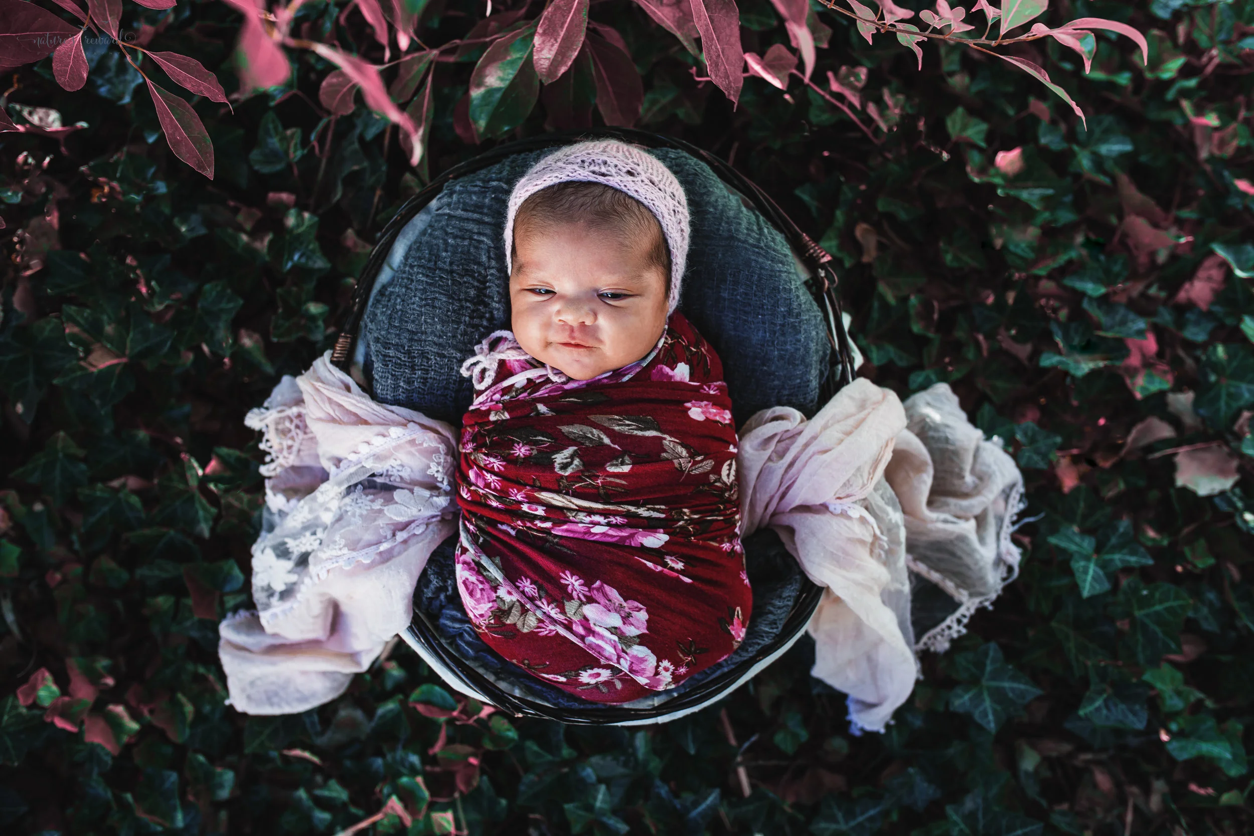 Newborn baby girl in a red floral wrap and pink bonnet in the garden- a portrait by Nature’s Reward Photography