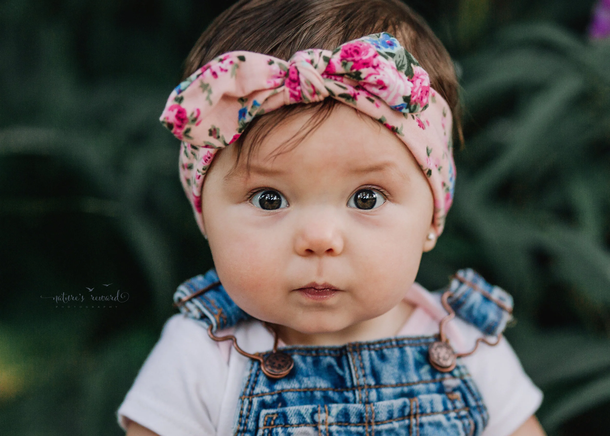 6 month old little girl during her sitter session portrait session by Nature’s Reward Photography