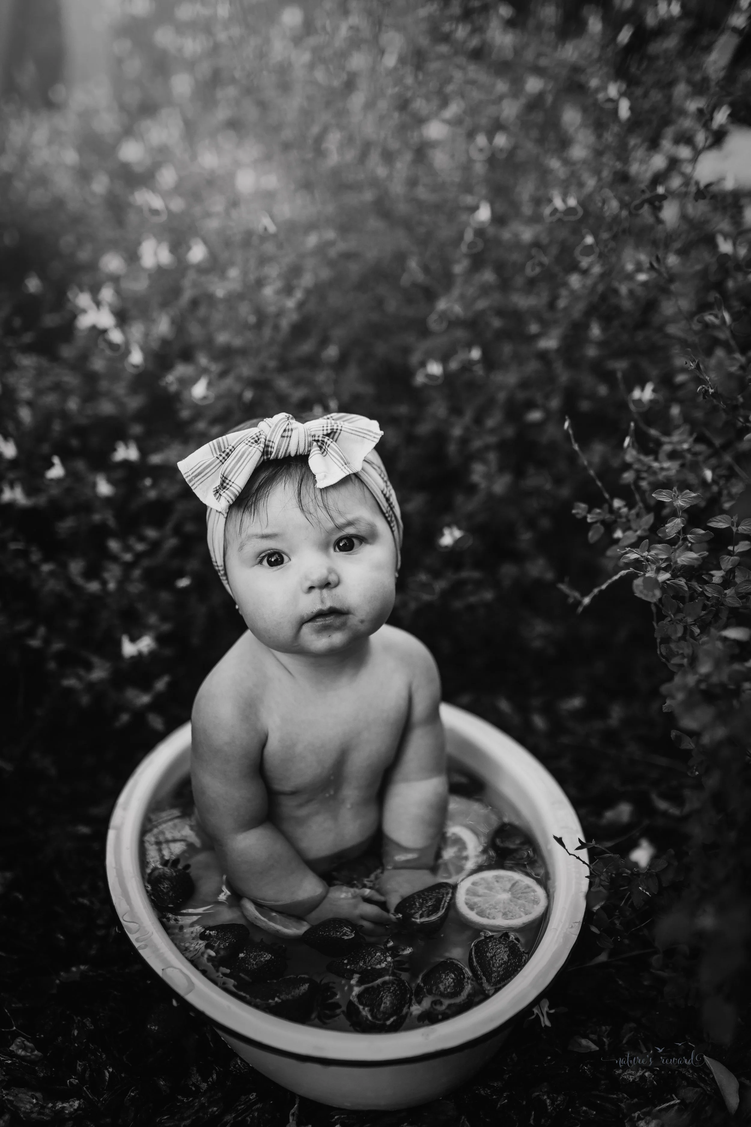 Black and white portrait of a 6 month old little girl during her sitter session taking a fruit bath of strawberries and lemons in garden of kissy lips flowers- a portrait by Nature’s Reward Photography