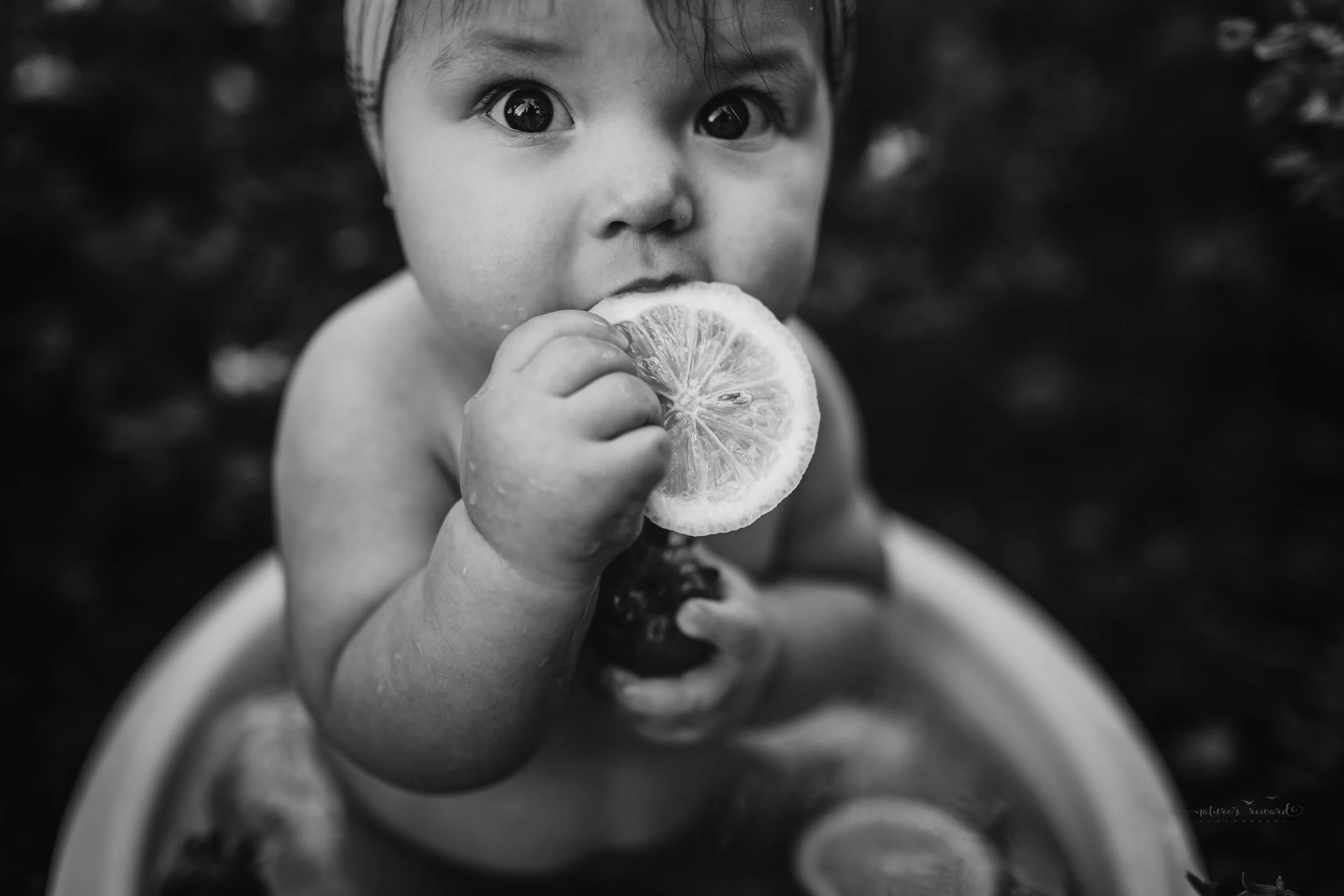 Black and white portrait of a 6 month old little girl during her sitter session taking a fruit bath of strawberries and lemons in garden of kissy lips flowers- a portrait by Nature’s Reward Photography