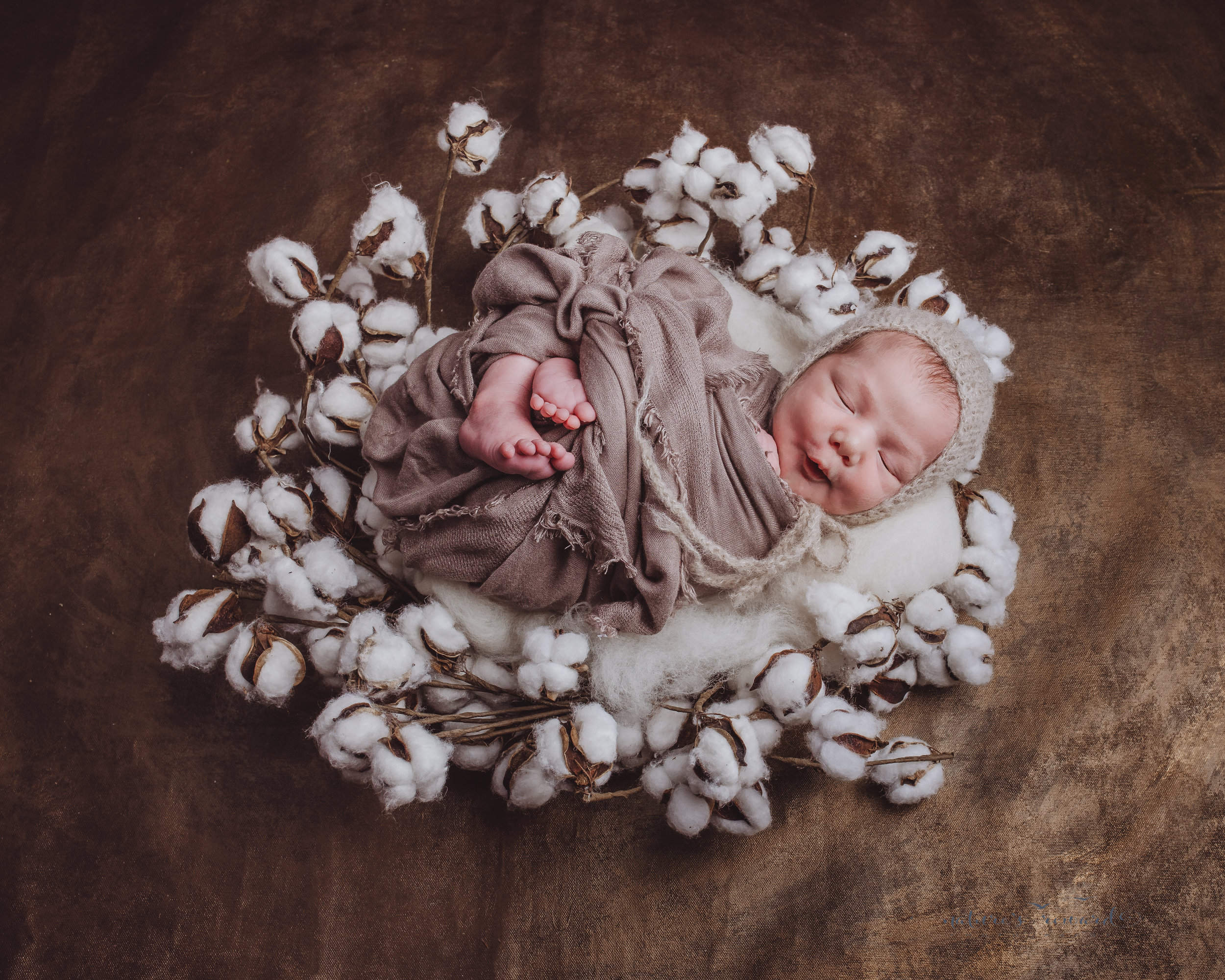 A newborn baby boy on a cotton blossom wreath and a bed of cotton swaddled and wearing a bonnet on a golden back drop -a portrait by Nature’s Reward Photography