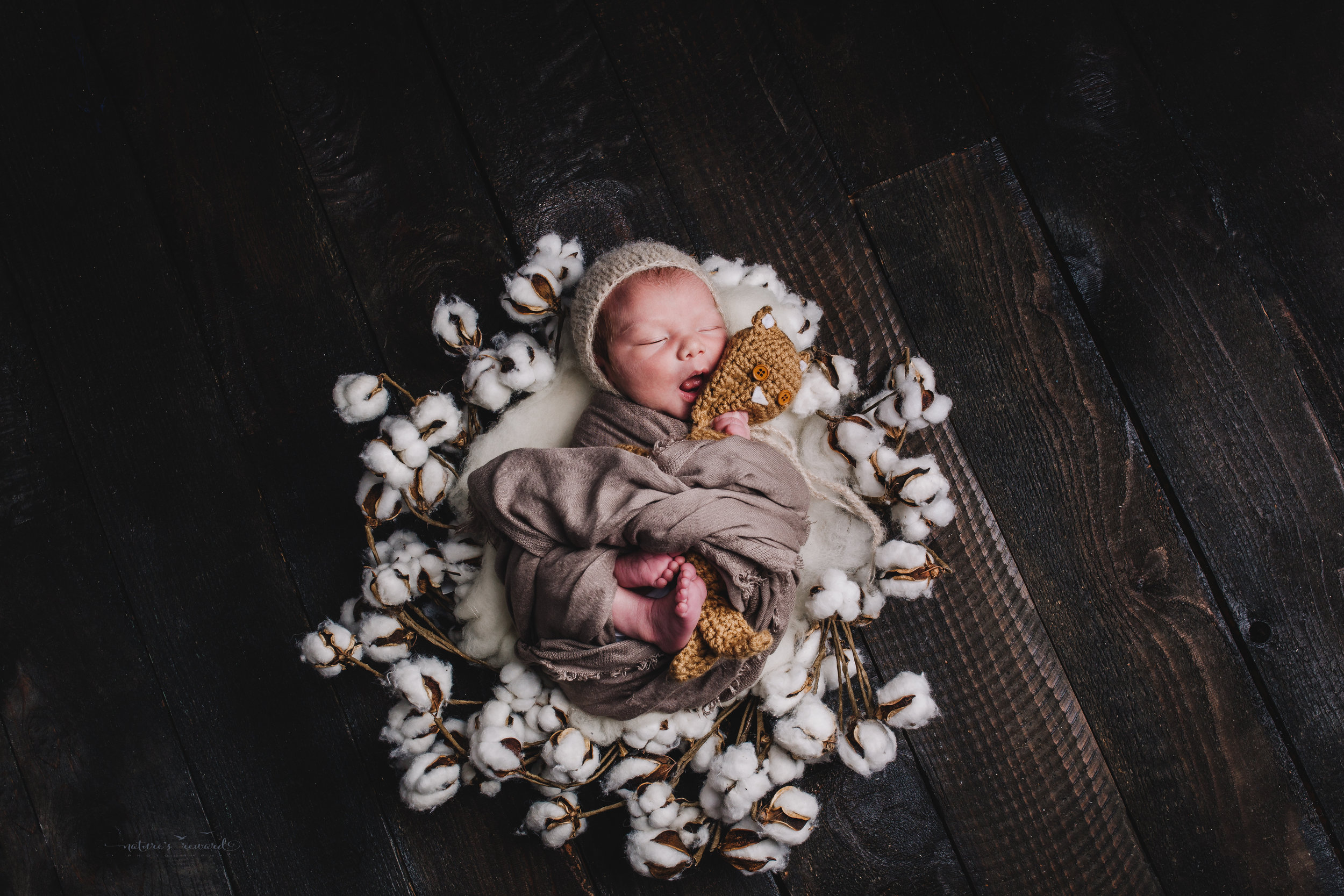 A newborn baby boy on a cotton blossom wreath and a bed of cotton swaddled and wearing a bonnet on a wood floor back drop -a portrait by Nature’s Reward Photography