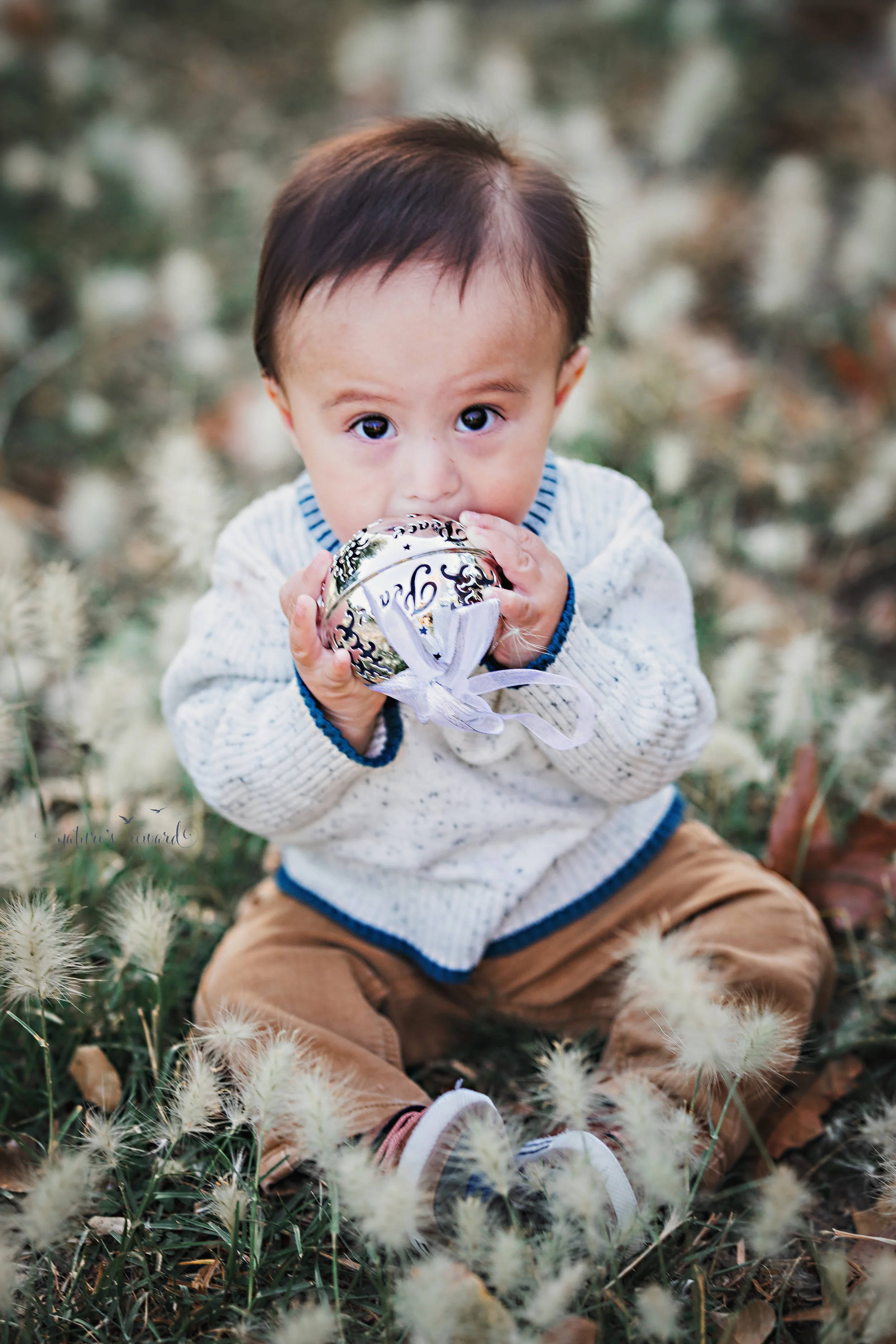 Beautiful 6 month old baby boy holding a silver bell- a sitter portrait by Nature’s Reward Photography