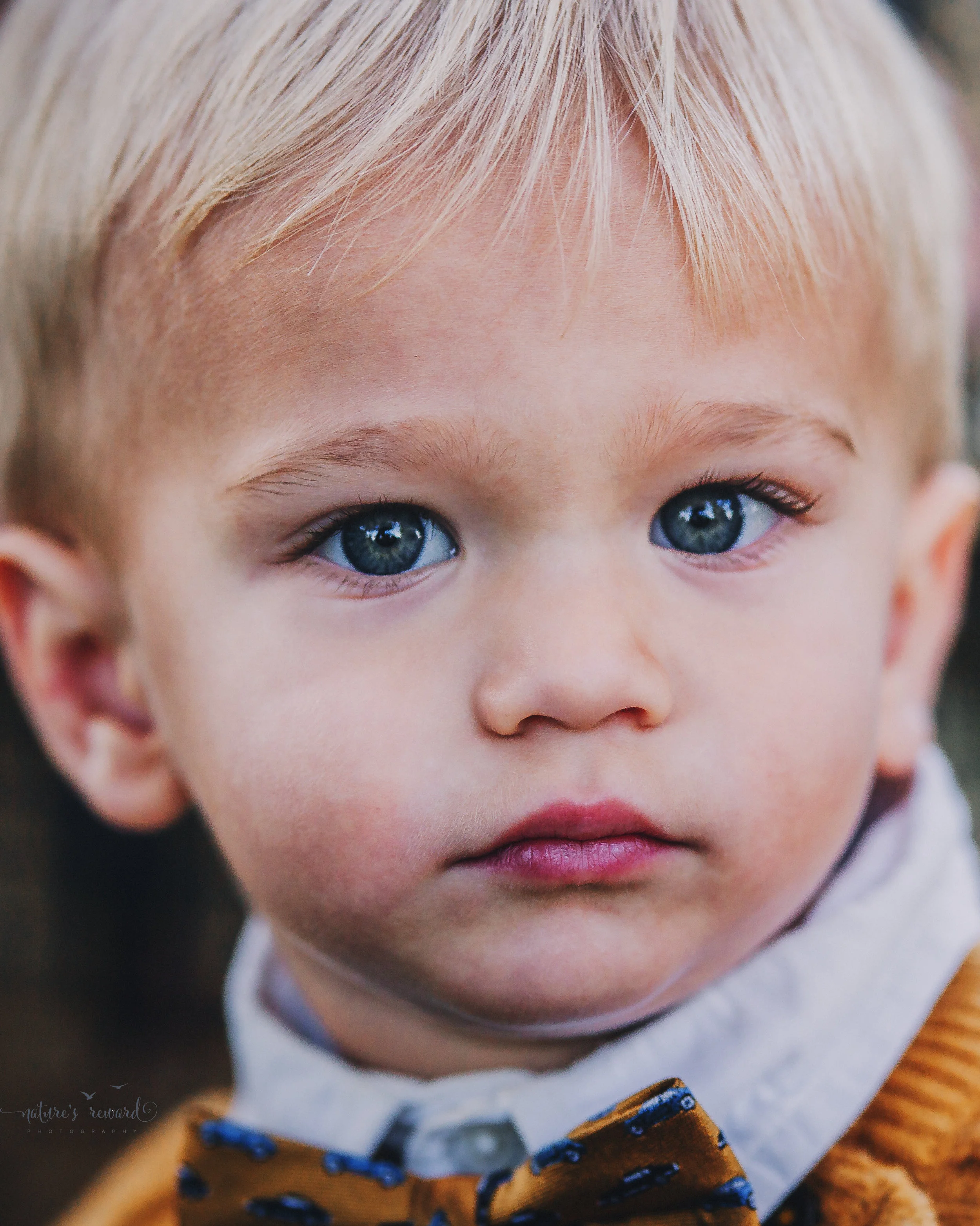Stunning Portrait of one year old baby boy- A portrait By Nature’s Reward Photography!