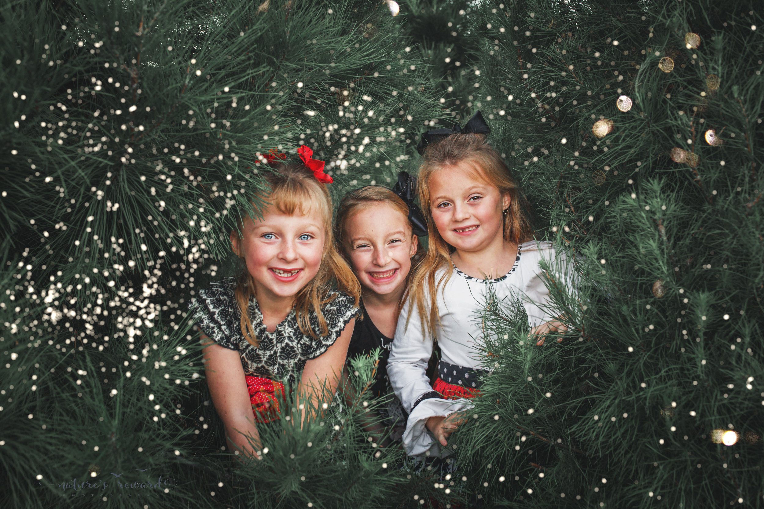 Happy Holidays from the triplets!
