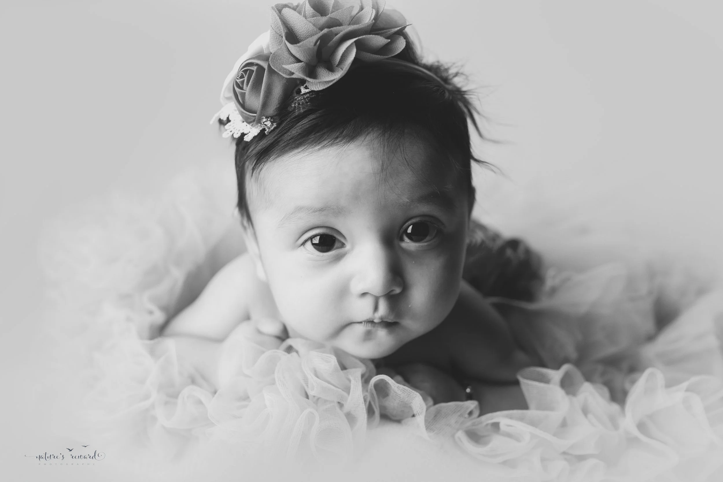10 week old baby girl in her tutu- A Portrait By Nature’s Reward Photography