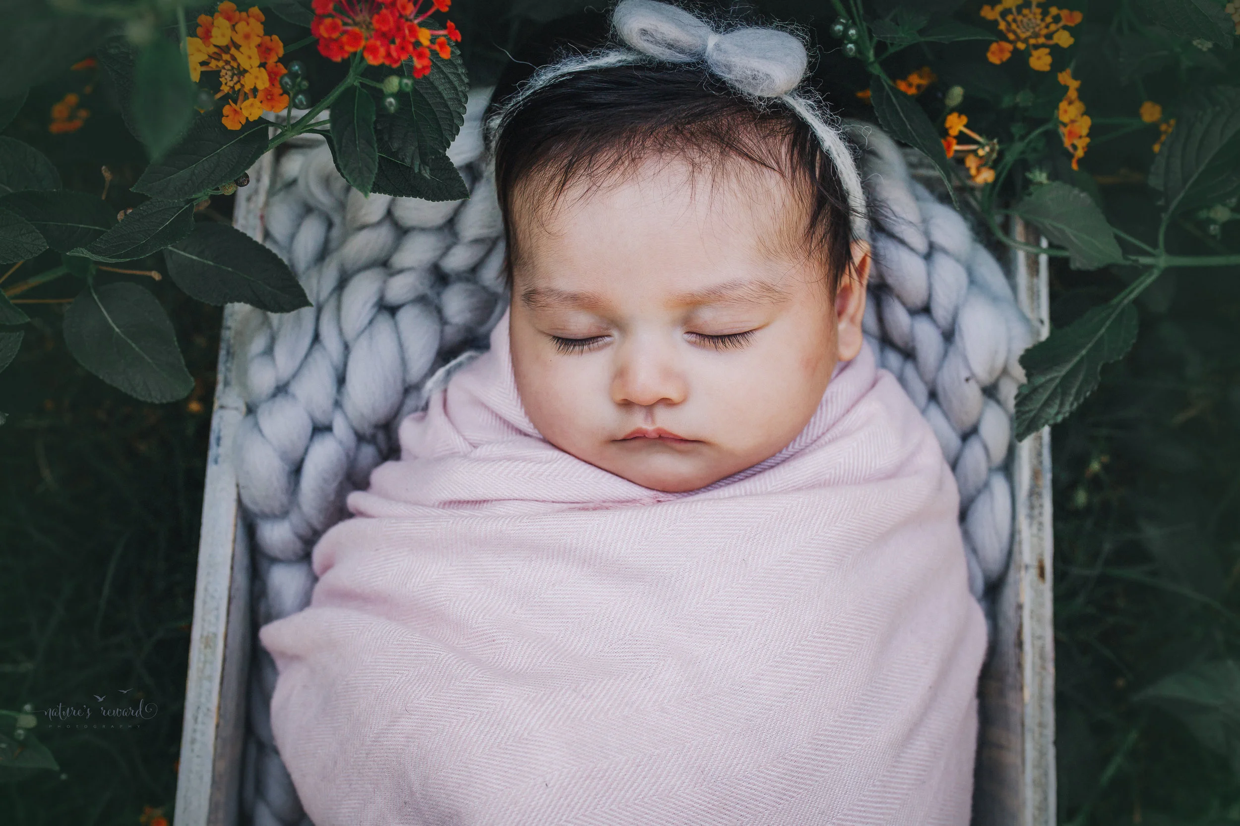 Lovely 10 week old newborn baby girl swaddled in pink- a portrait by Nature’s Reward Photography