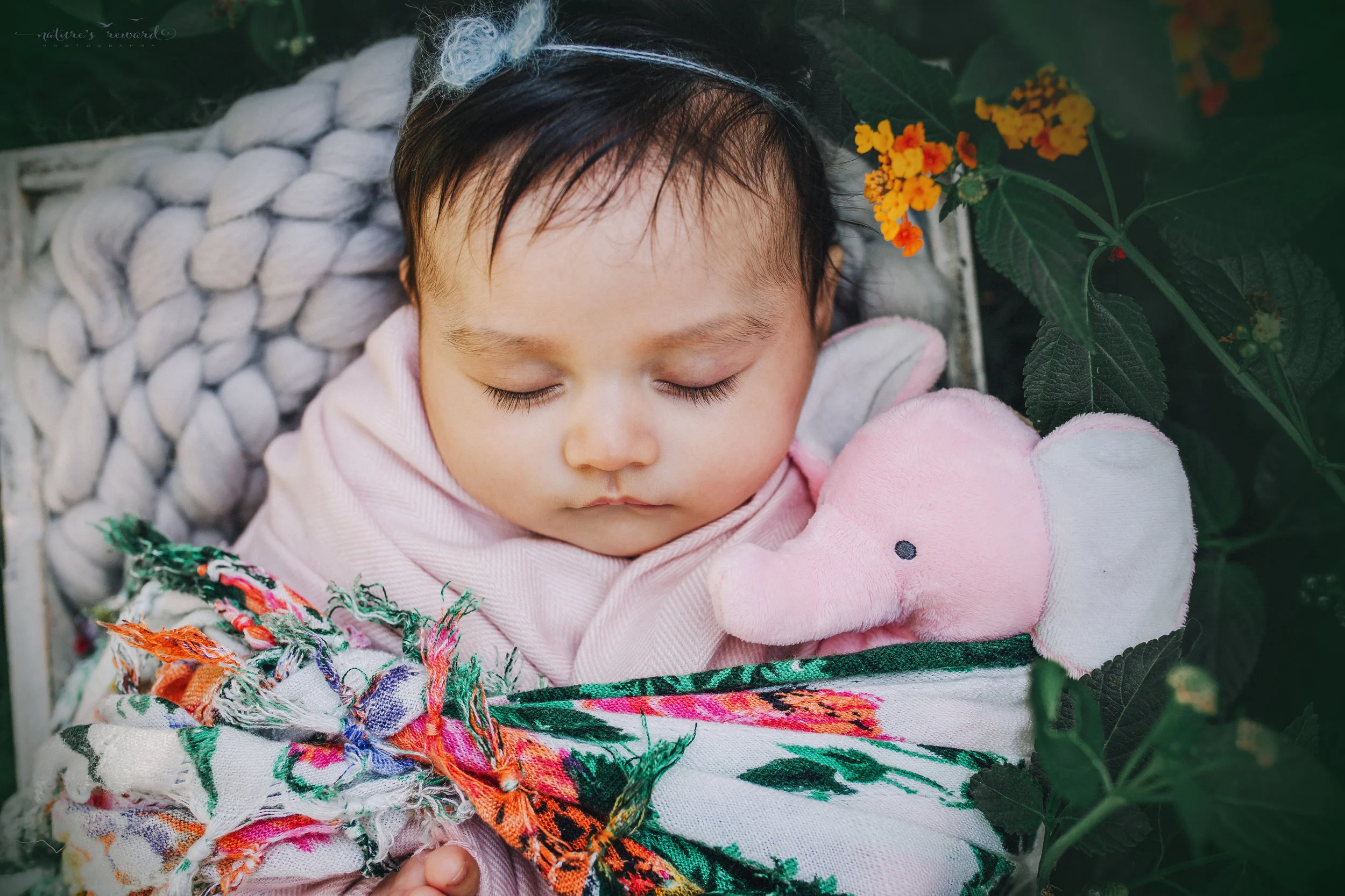 Lovely 10 week old newborn baby girl swaddled in pink, with a pop of color and here stuffed babies- a portrait by Nature’s Reward Photography