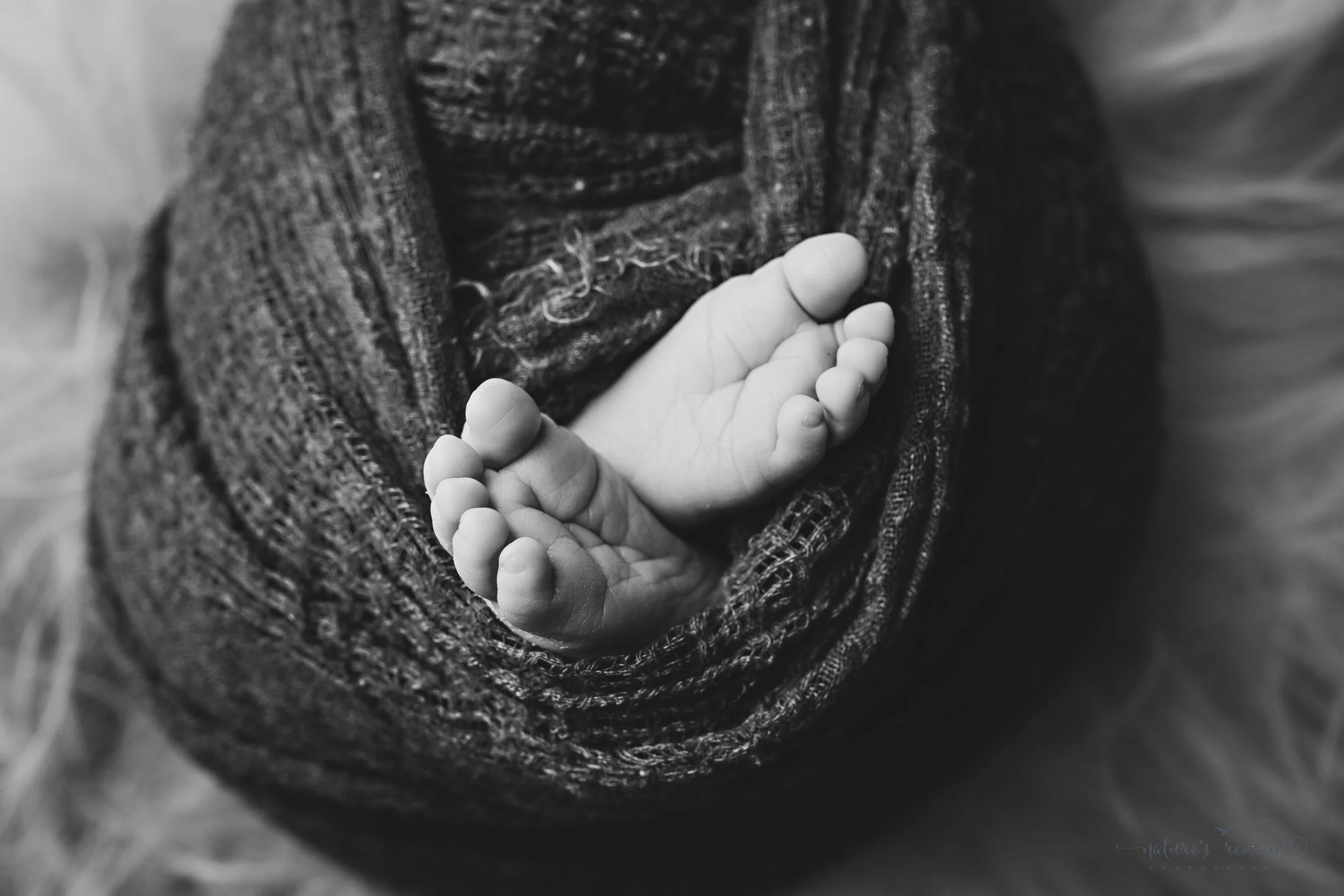 Those toes! A black and white portrait by Nature’s Reward Photography