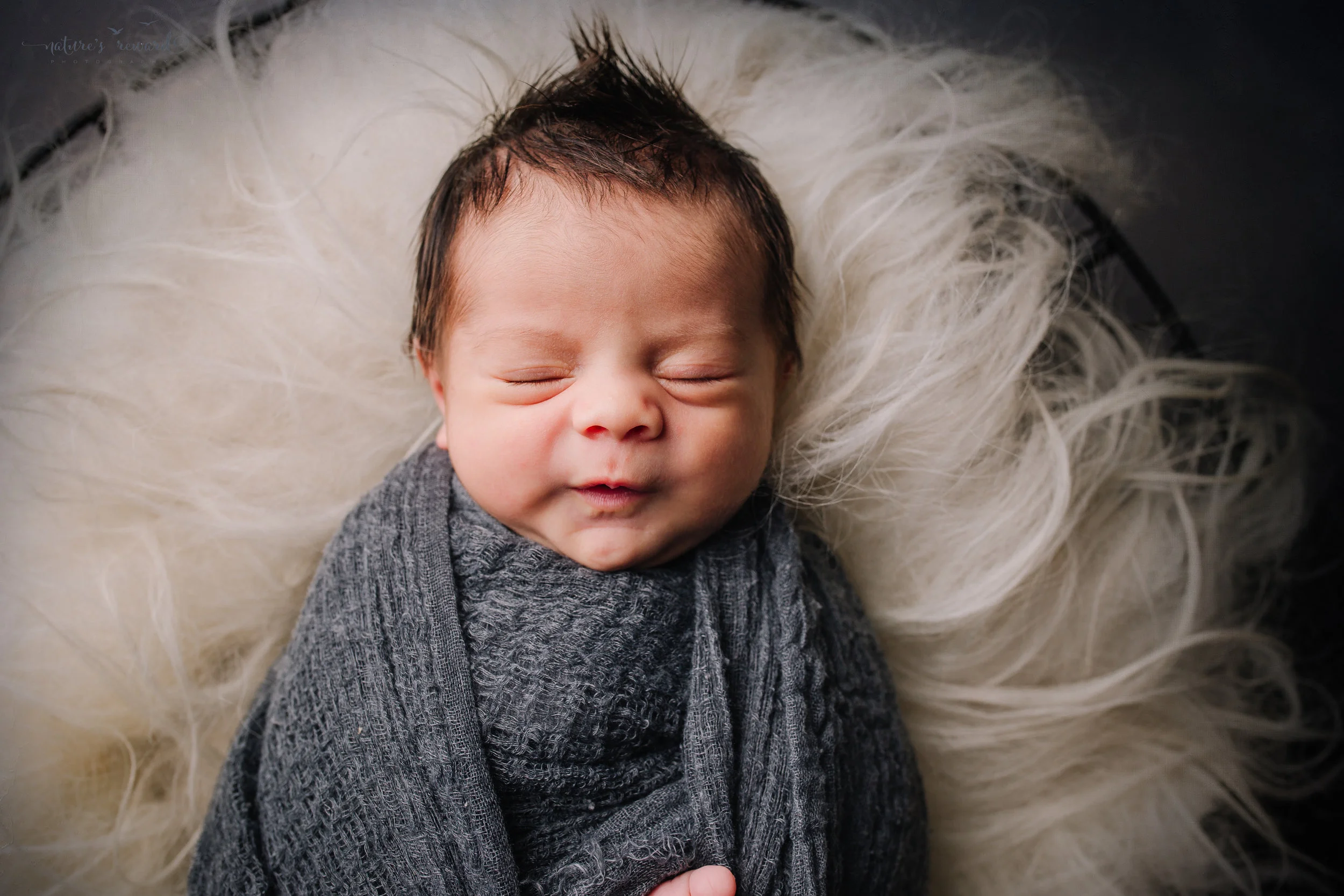 Newborn Baby boy swaddled in grey while laying on a bed of white fur in a metal bowl - a portrait by Nature’s Reward Photography