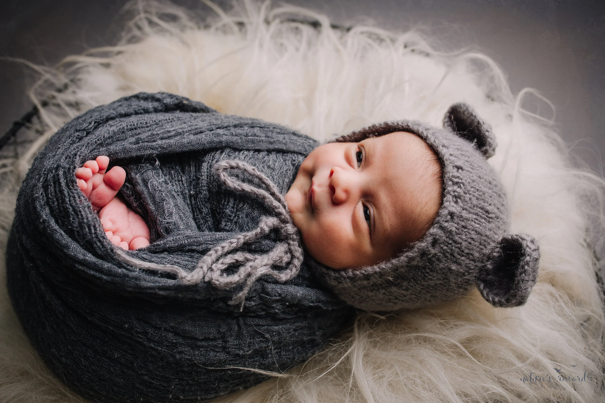 Newborn Baby boy swaddled in grey while laying on a bed of white fur in a metal bowl wearing a teddy bear bonnet - a portrait by Nature’s Reward Photography