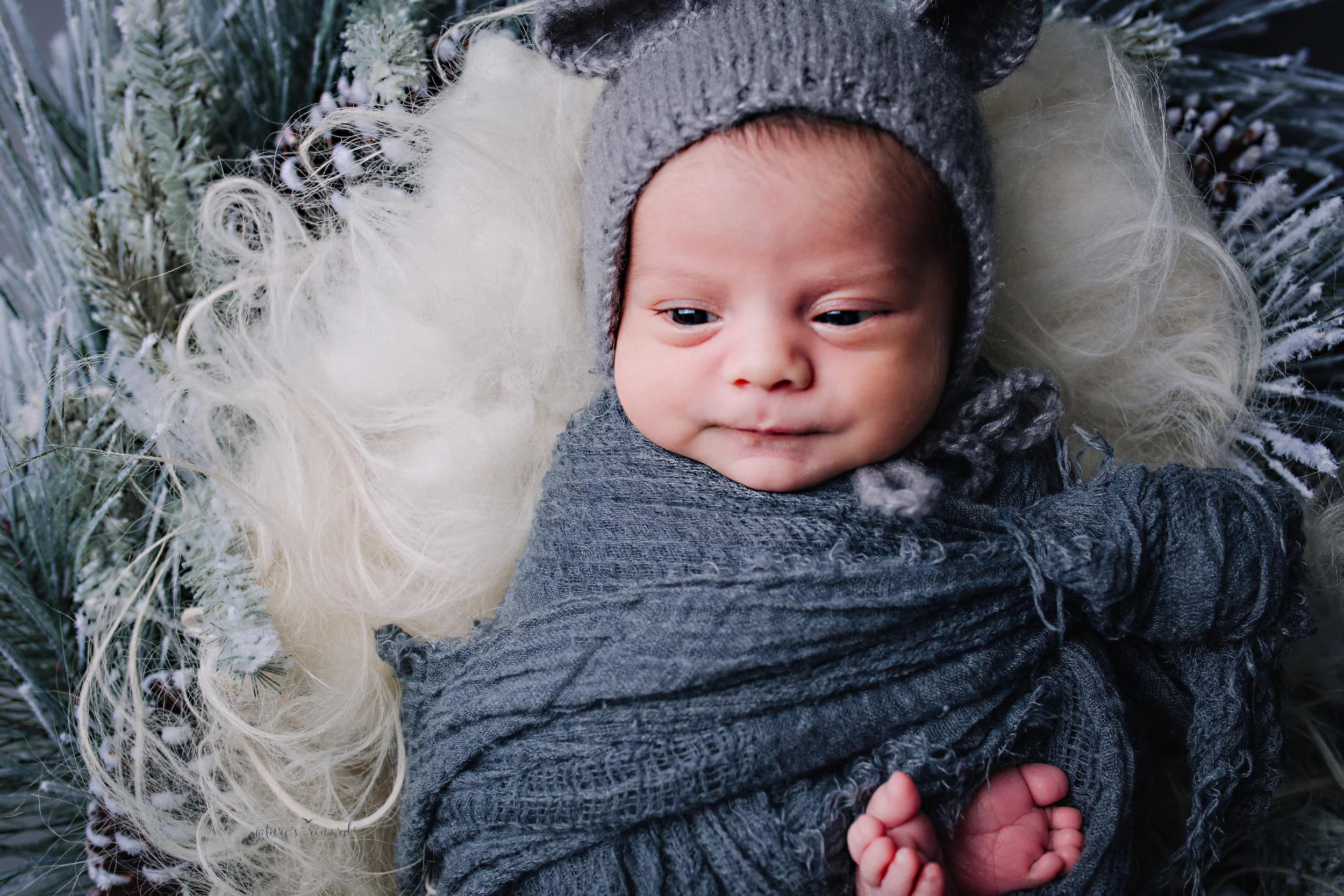 Newborn Baby boy swaddled in grey while laying on a bed of white fur in a beautiful winter hue wreath wearing a teddy bear bonnet - a portrait by Nature’s Reward Photography