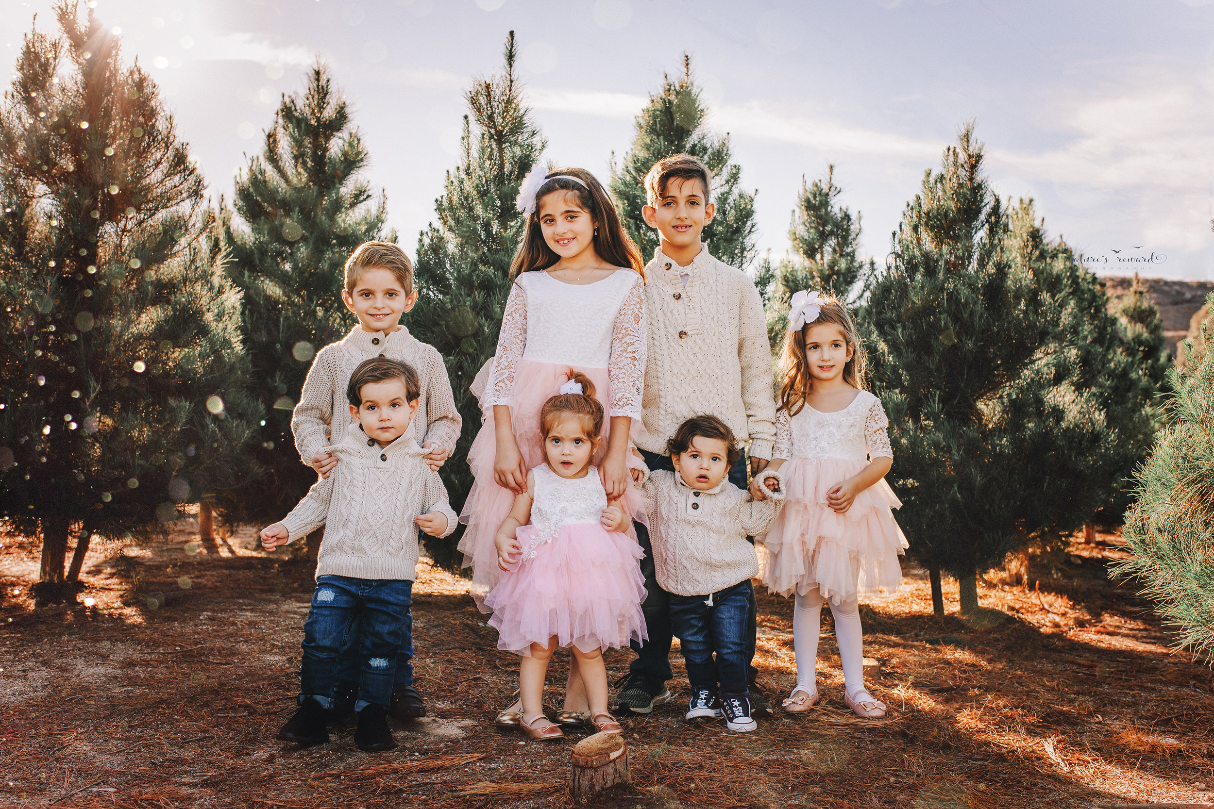 This gorgeous bunch! Cousins! A Christmas tree farm portrait by Nature’s Reward Photography