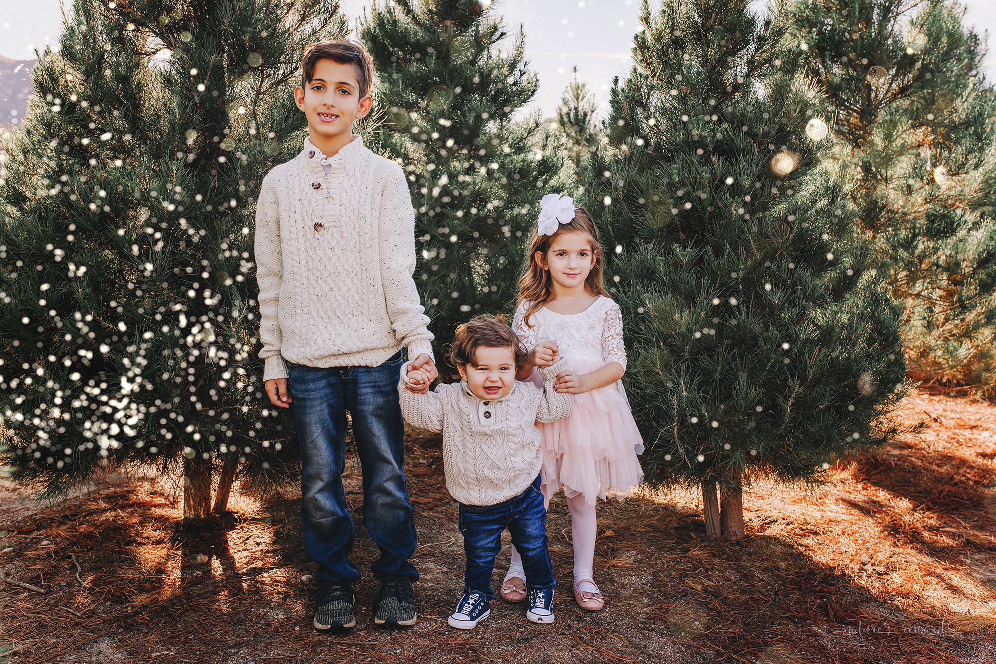 Big Brother, Big Sister and little brother A Christmas tree farm portrait by Nature’s Reward Photography