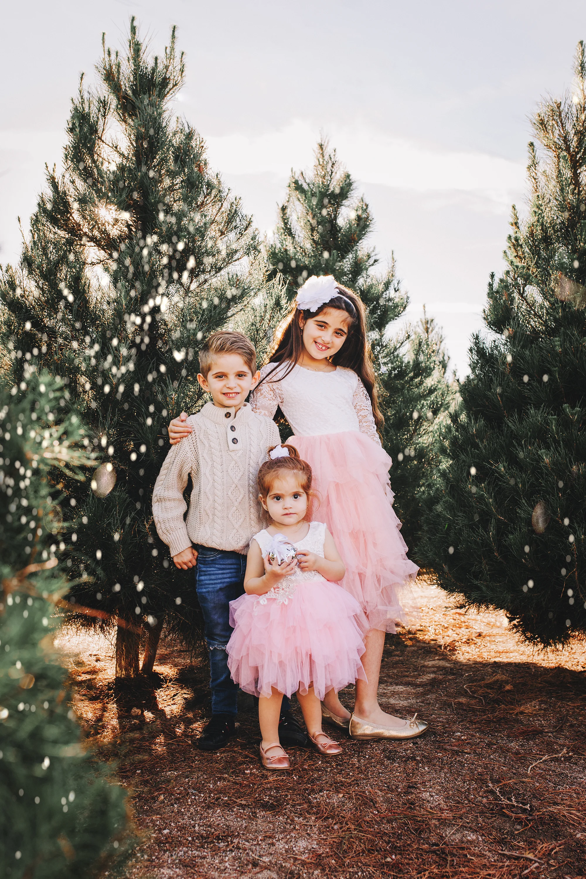 A sibling portrait with Big Sister, Big Brother, and Little Sister- A Christmas tree farm portrait by Nature’s Reward Photography