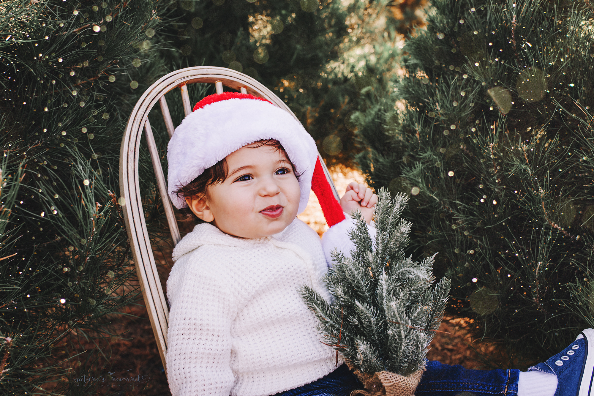 Baby Boy in a sonata hat A Christmas tree farm portrait by Nature’s Reward Photography
