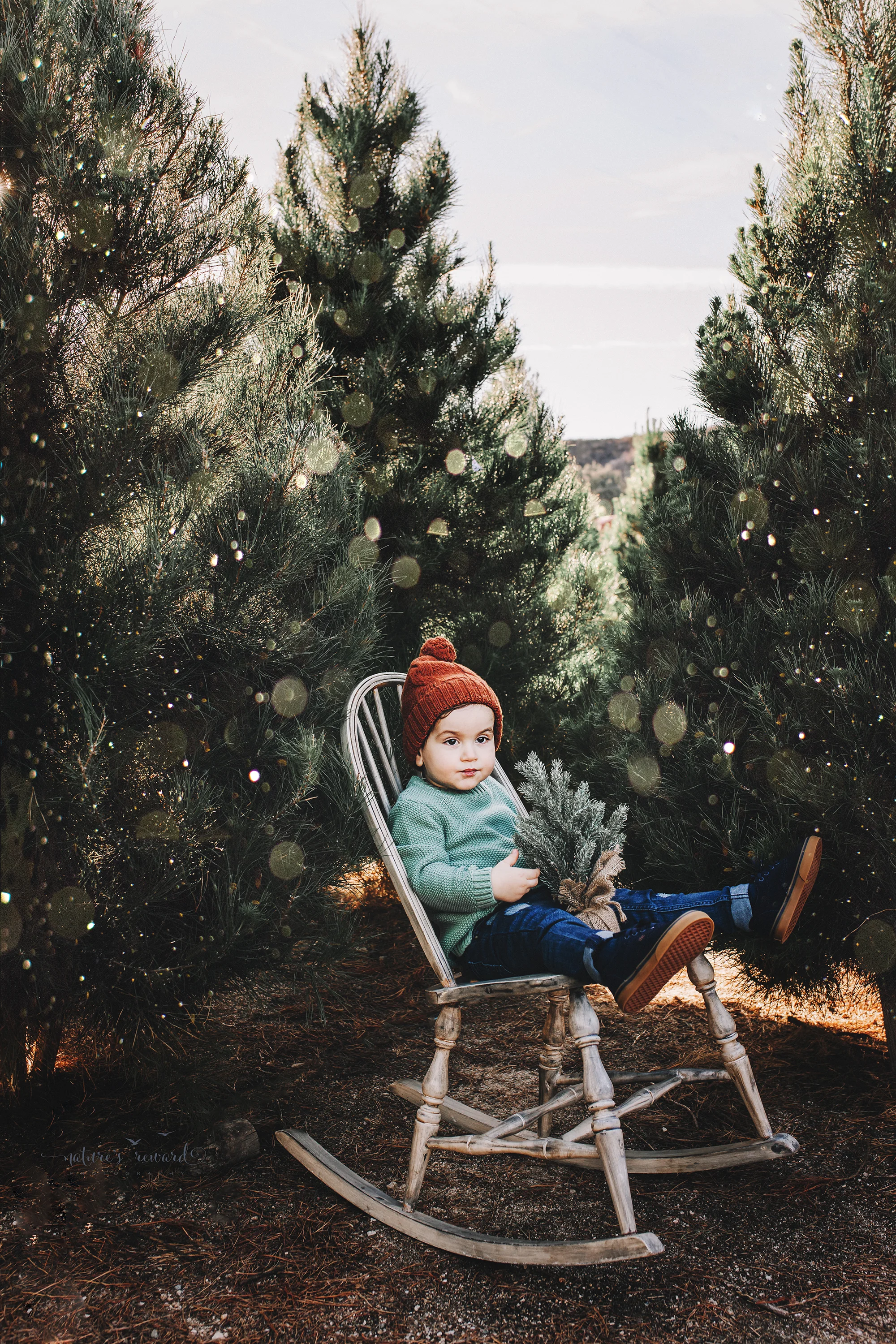 Toddler little boy - A Christmas tree farm portrait by Nature’s Reward Photography