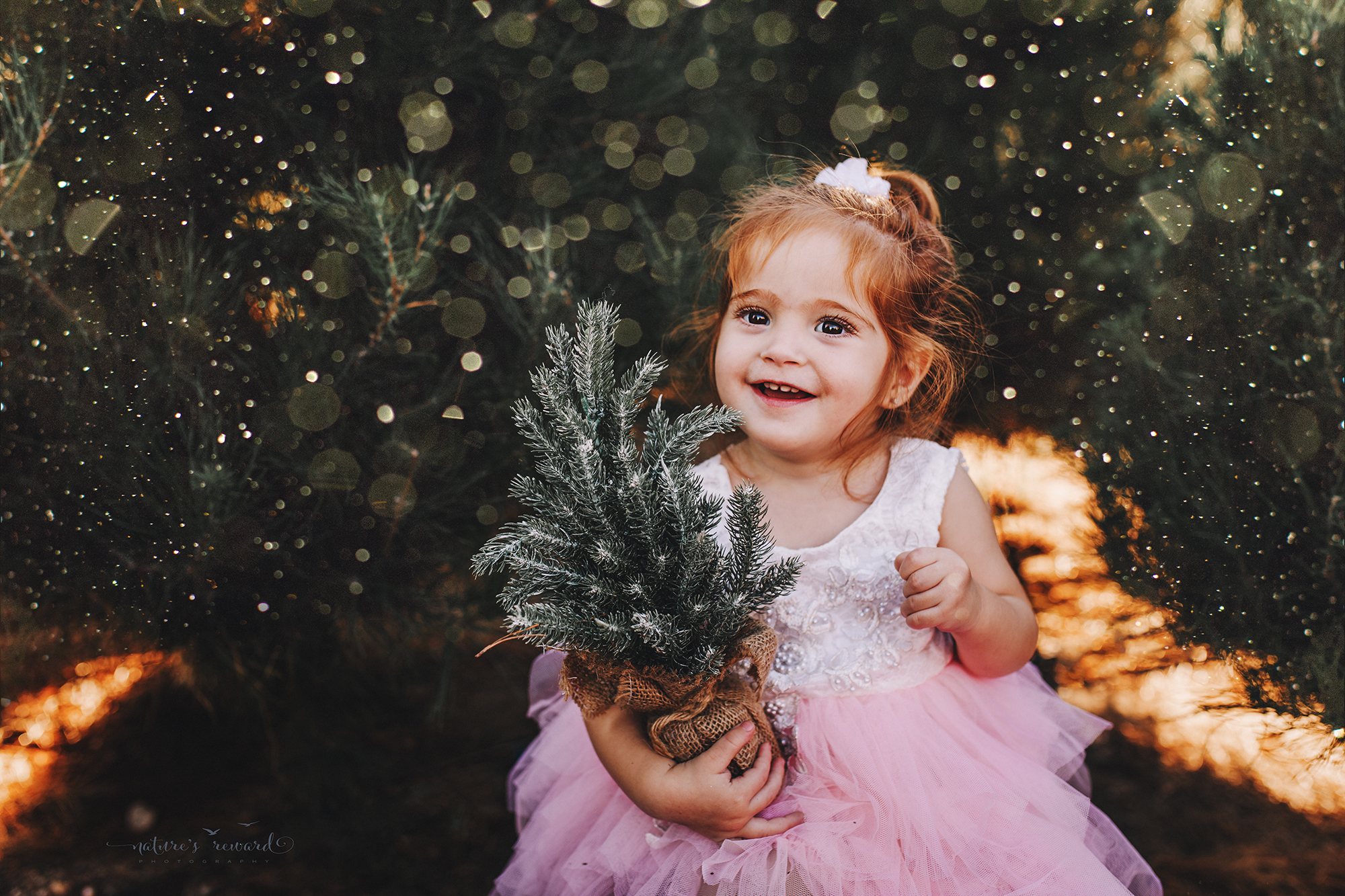 Sweet toddler little girl- A Christmas tree farm portrait by Nature’s Reward Photography