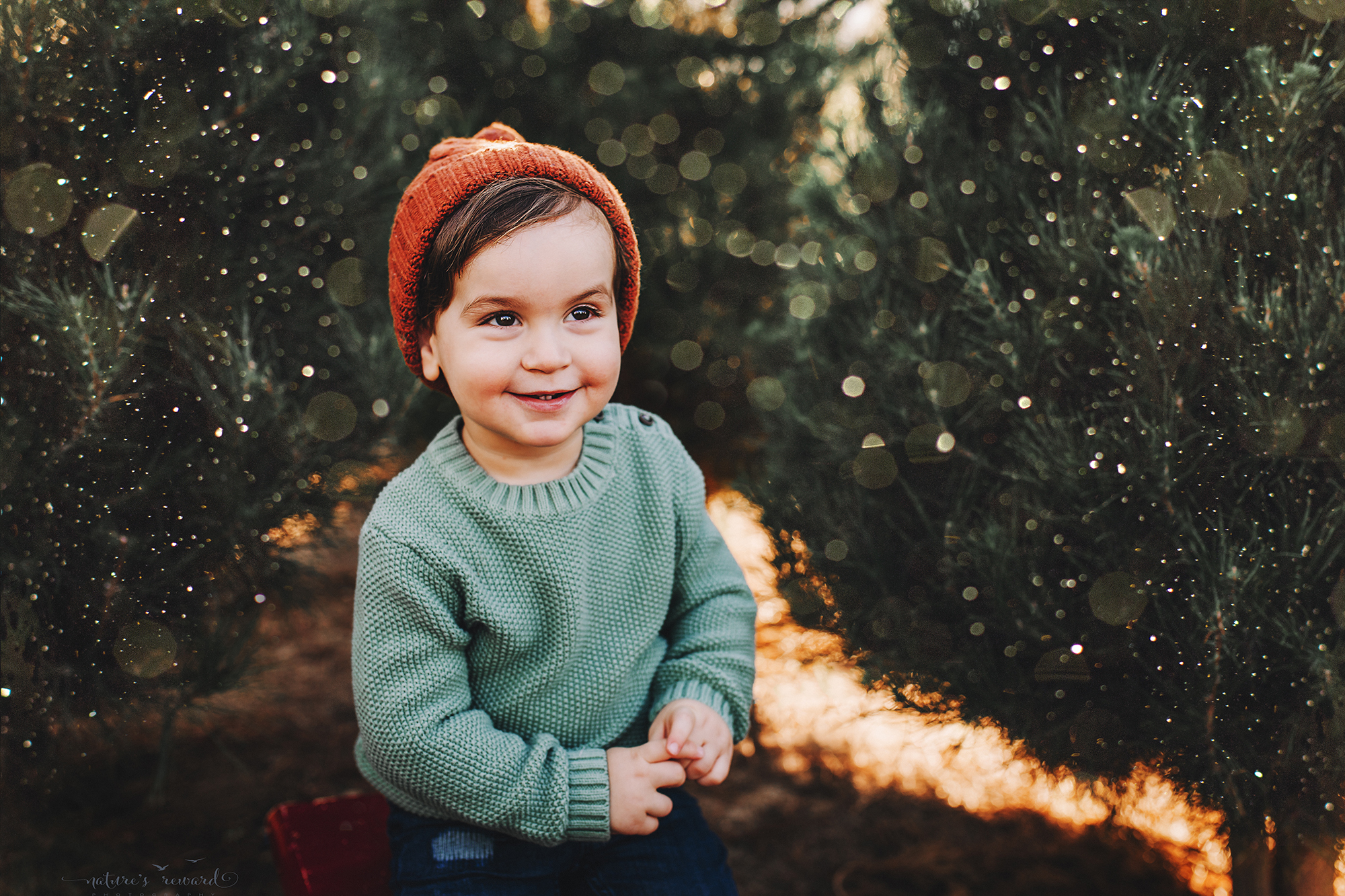 So darling, this little boy - A Christmas tree farm portrait by Nature’s Reward Photography