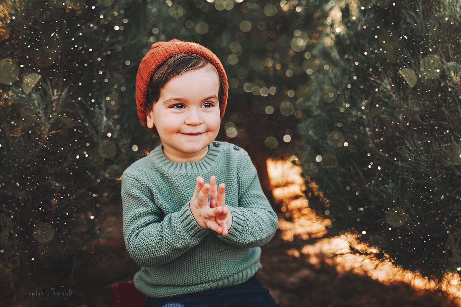 Baby boy - A Christmas tree farm portrait by Nature’s Reward Photography