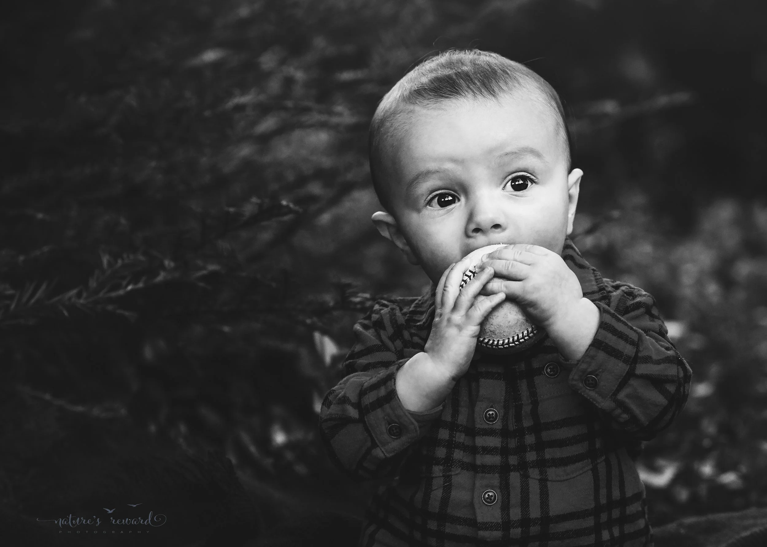 Black and white portraits6 month old baby boy and his baseball in a lush green park setting in Redlands, Ca. by San Bernardino photographer- Nature’s Reward Photography