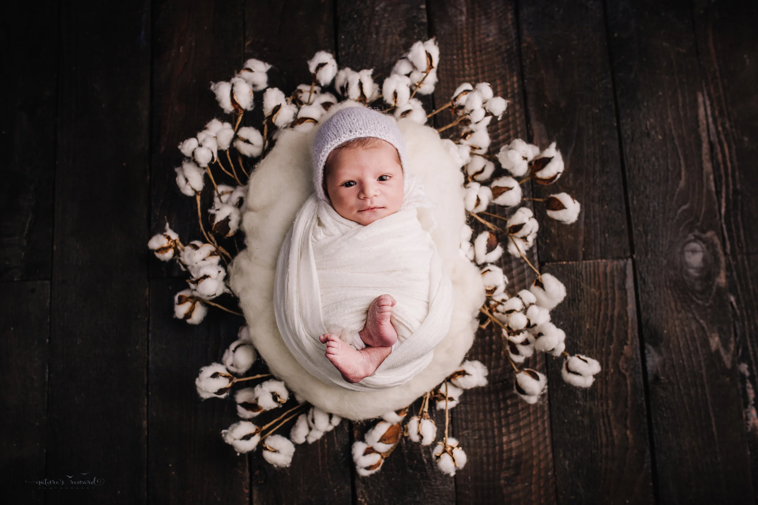 Newborn baby boy swaddled in white on a cotton wreath on a dark wood floor by san Bernardino’s maternity, newborn and family photography, Nature’s Reward Photography