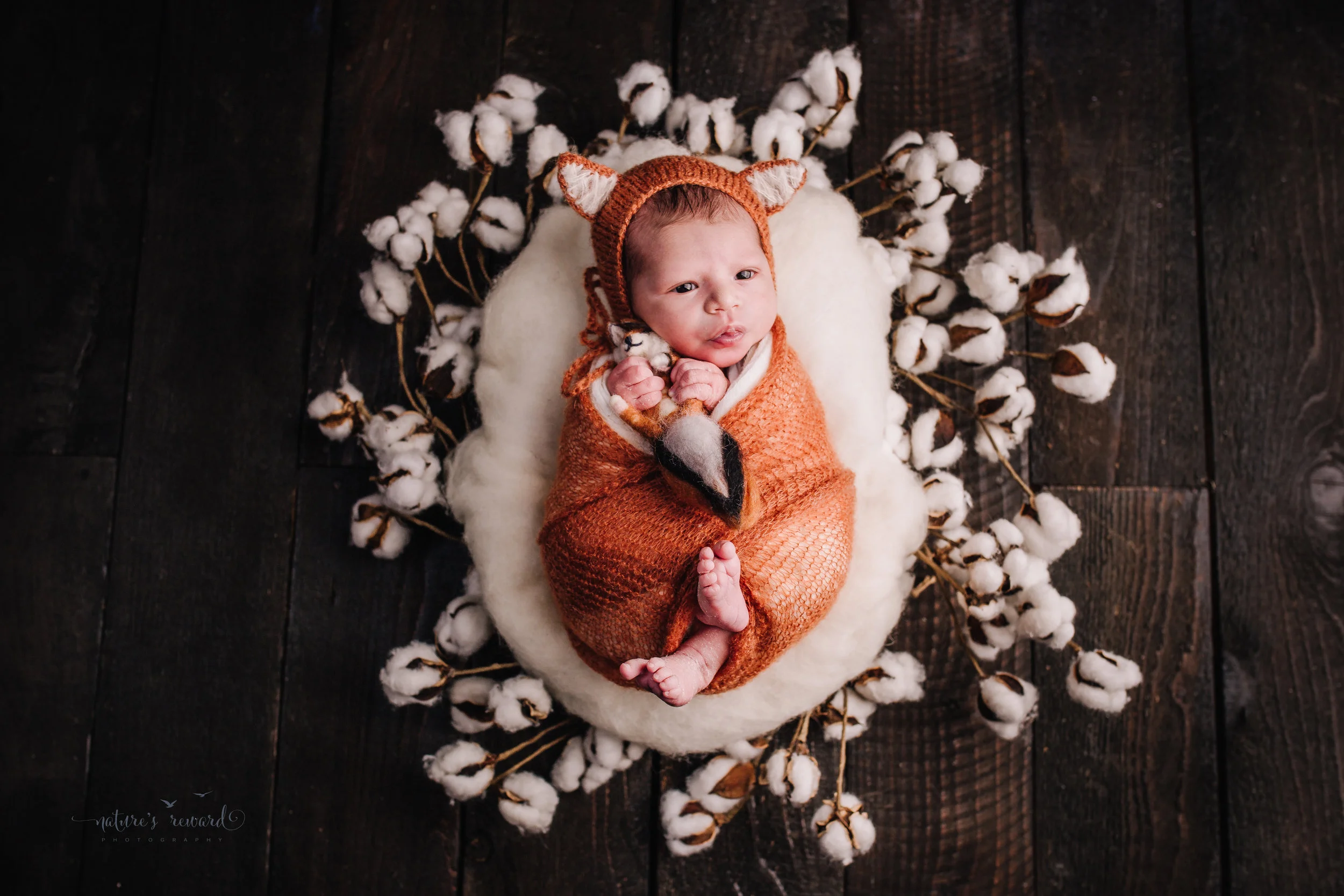 Newborn baby boy swaddled in fox orange with a fox bonnet and fox baby on a cotton wreath on a dark wood floor by san Bernardino’s maternity, newborn and family photography, Nature’s Reward Photography