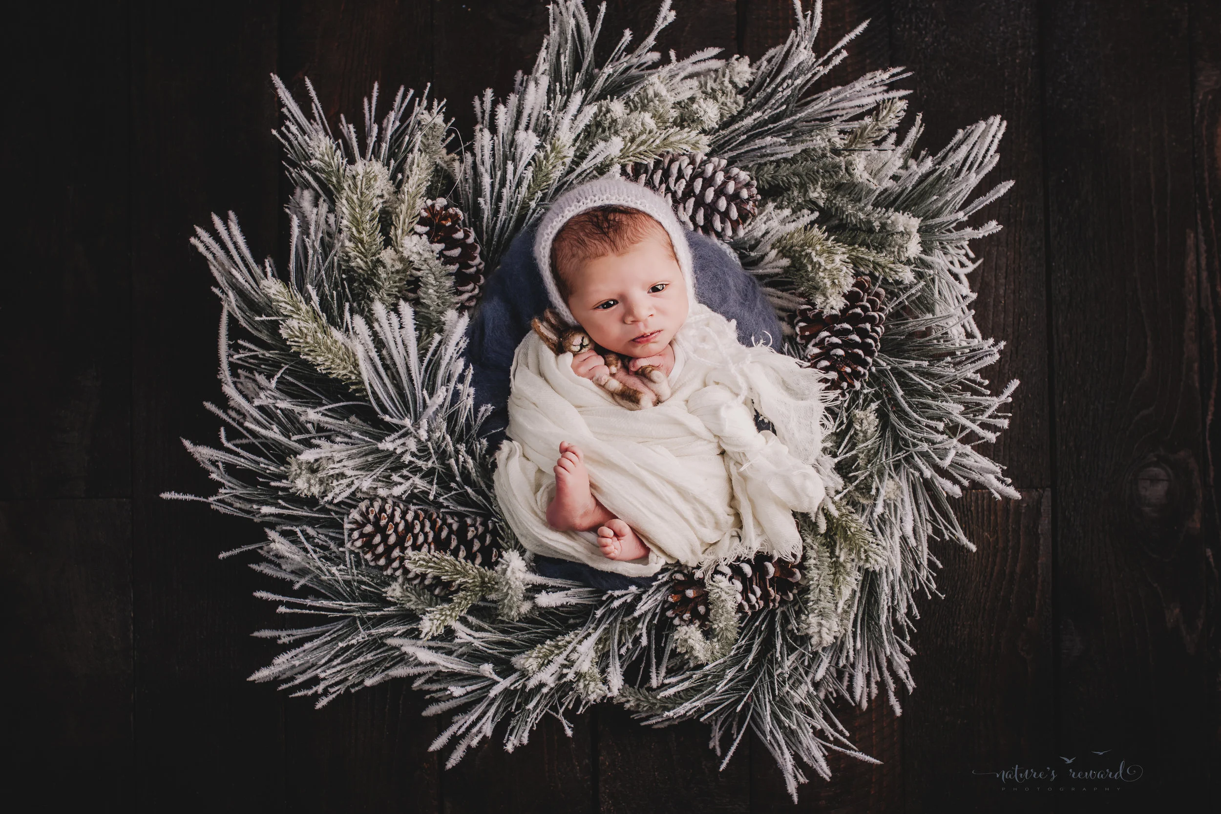 Newborn baby boy swaddled in white in winter wreath on a dark wood floor by san Bernardino’s maternity, newborn and family photography, Nature’s Reward Photography