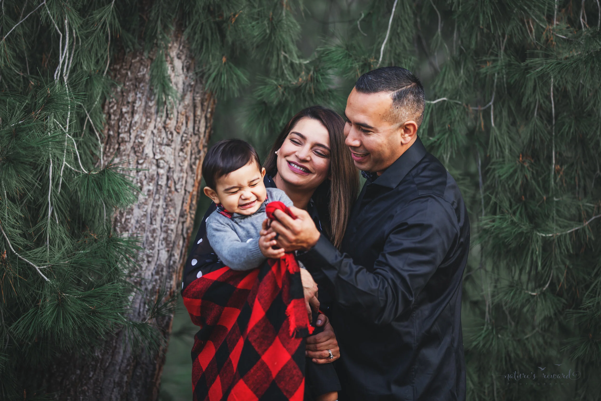 Beautiful baby boy in a Christmas portrait by Nature’s Reward Photography
