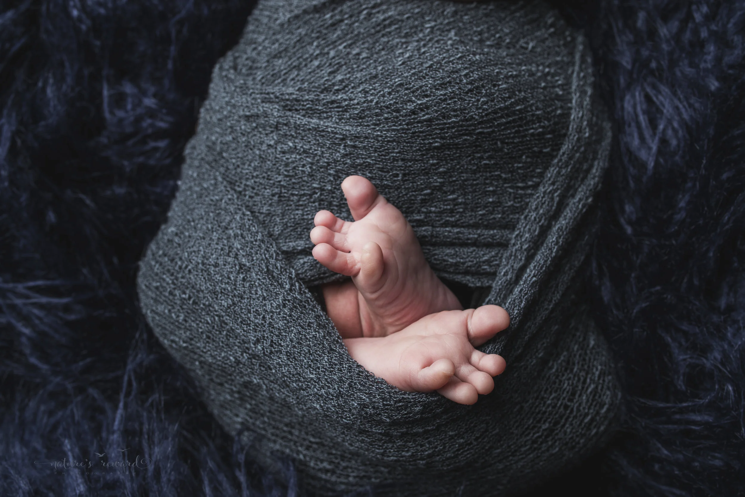 Newborn baby boy swaddled toes out a portrait by Nature’s Reward Photography