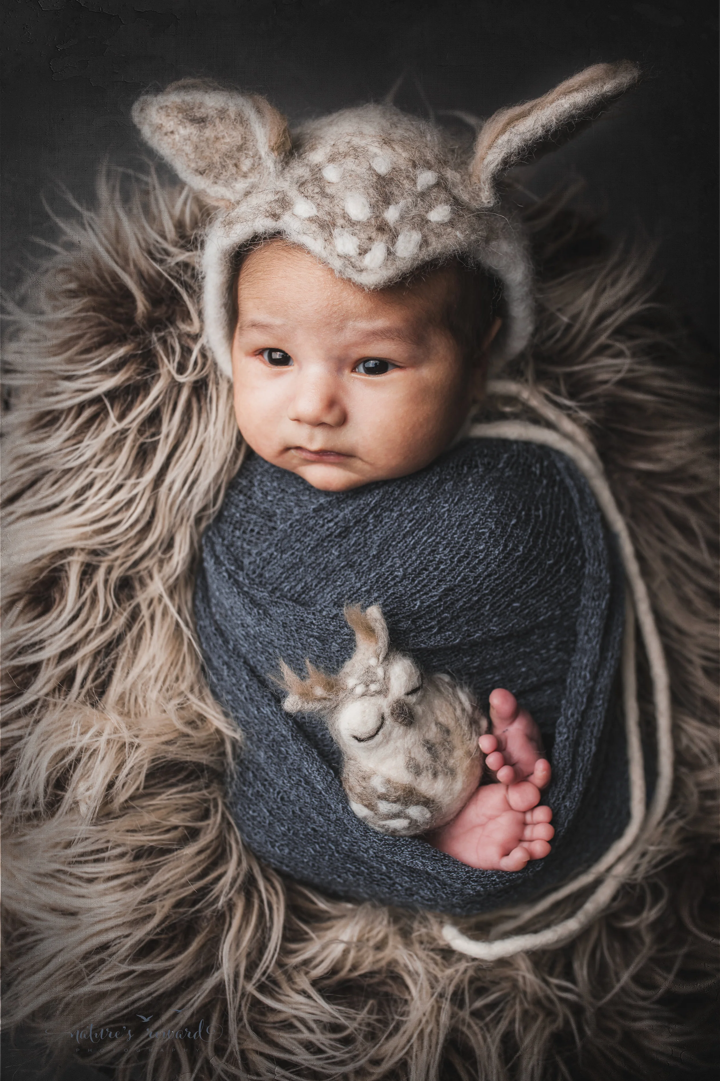 Newborn baby boy swaddled wearing an owl bonnet a portrait by Nature’s Reward Photography