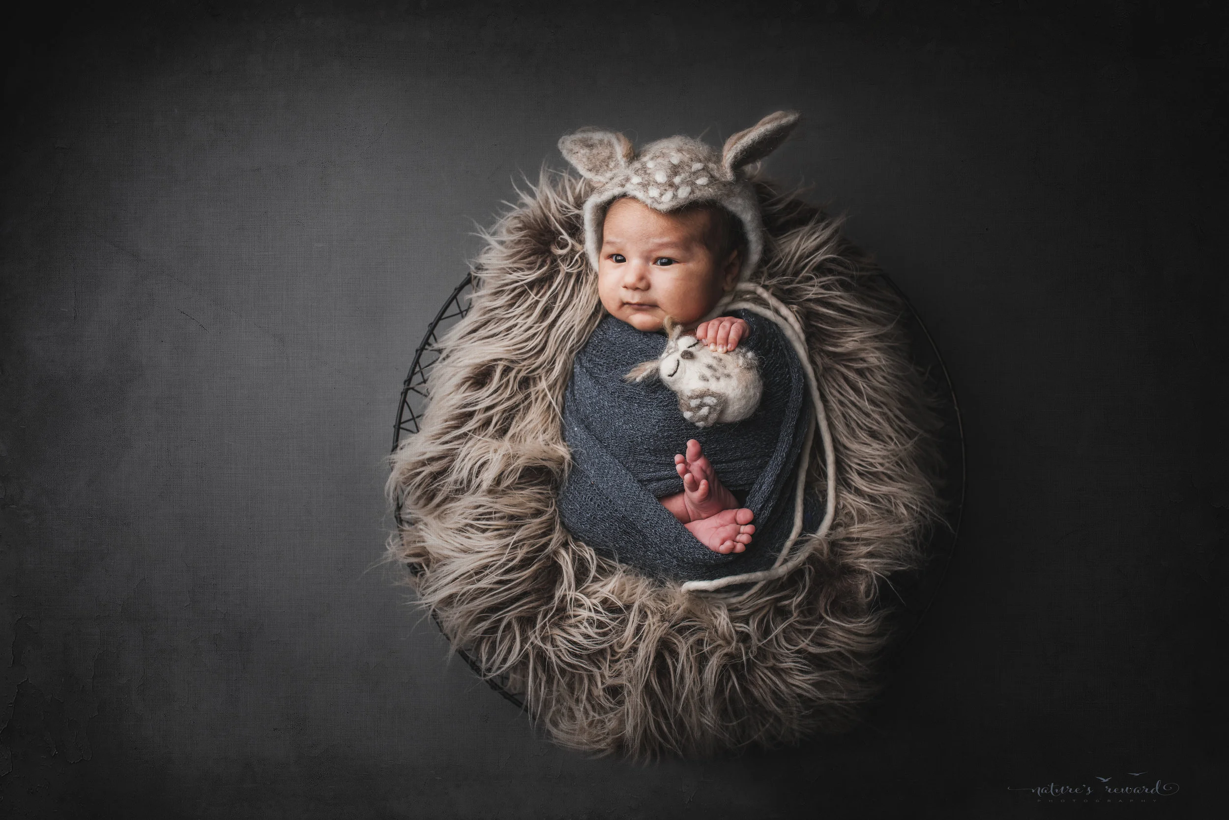 Newborn baby boy swaddled wearing an owl bonnet a portrait by Nature’s Reward Photography