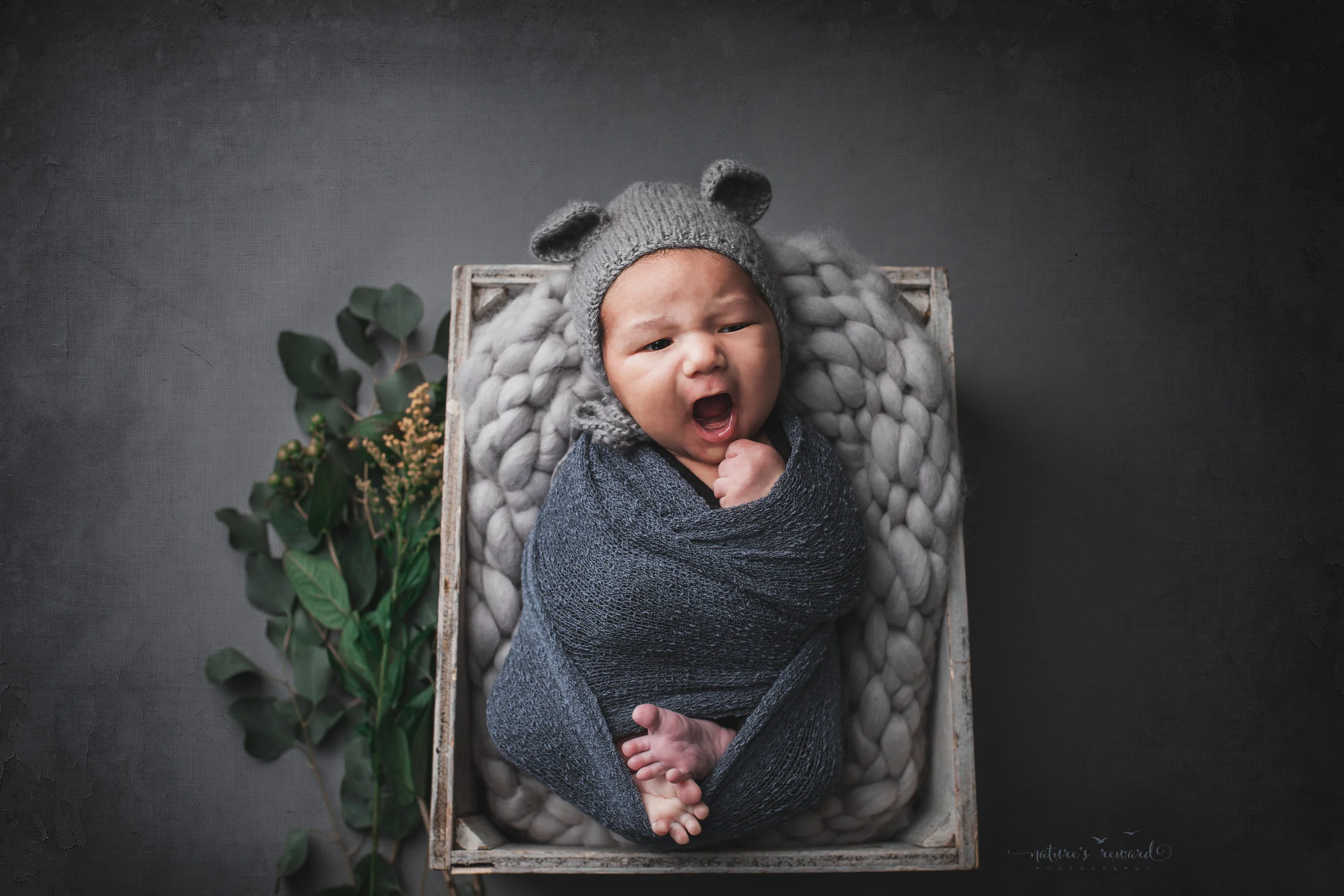 Newborn baby boy swaddled wearing a bear bonnet a portrait by Nature’s Reward Photography