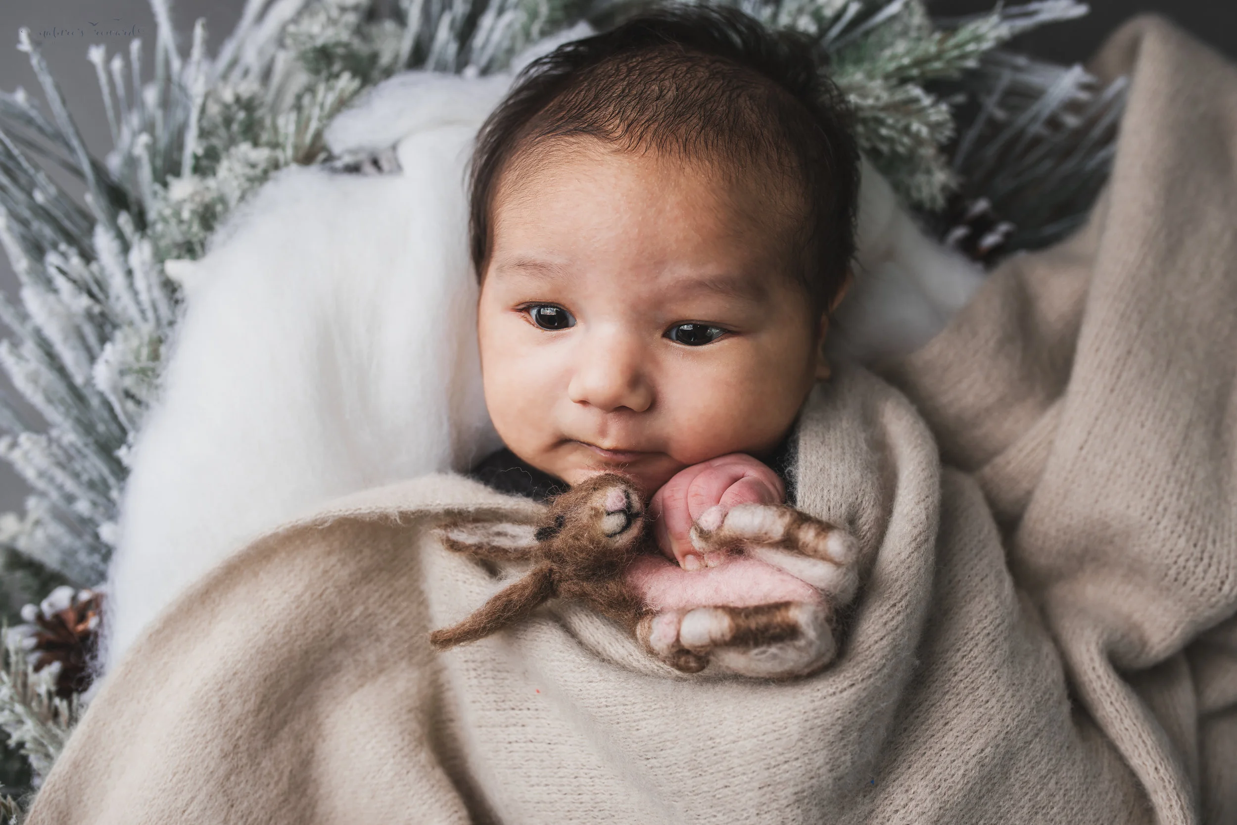 Newborn baby boy swaddled in a winter wreath a portrait by Nature’s Reward Photography
