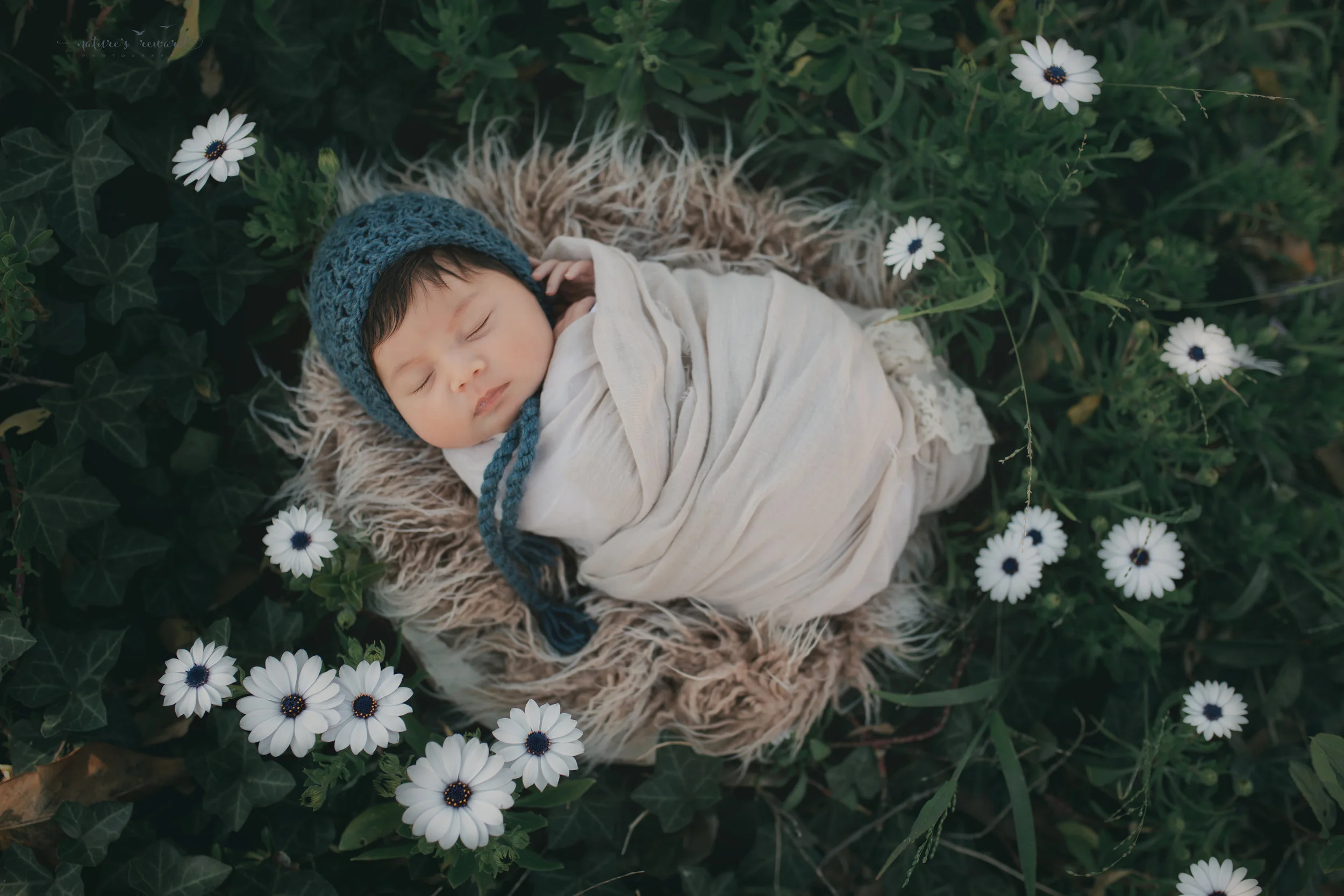 Newborn baby girl in this garden portrait of flowers, a portrait by Nature’s Reward Photography