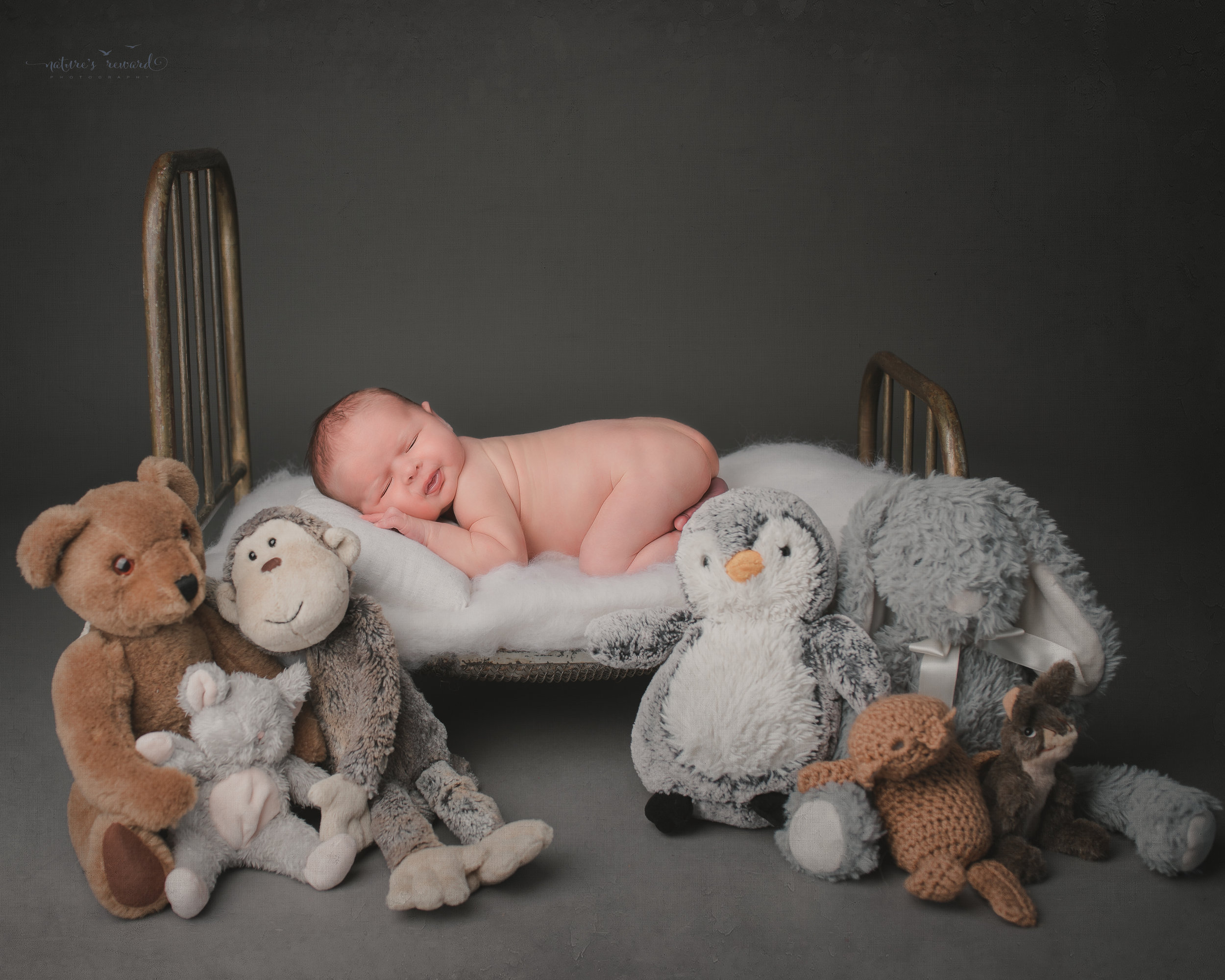 Newborn Baby boy on a doll bed surrounded by teddy’s, a portrait by Nature’s Reward Photography
