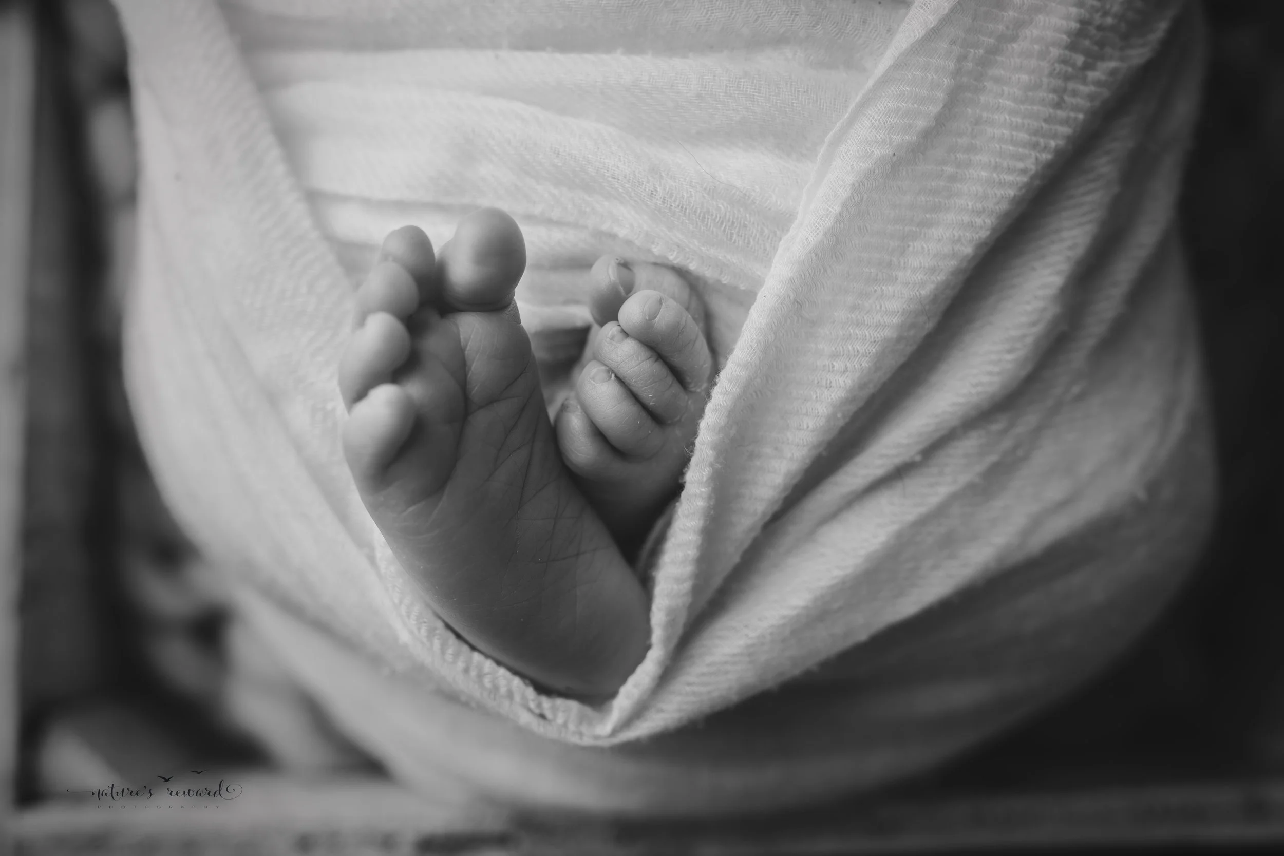 Newborn baby boy toes, a portrait by Nature’s Reward Photography