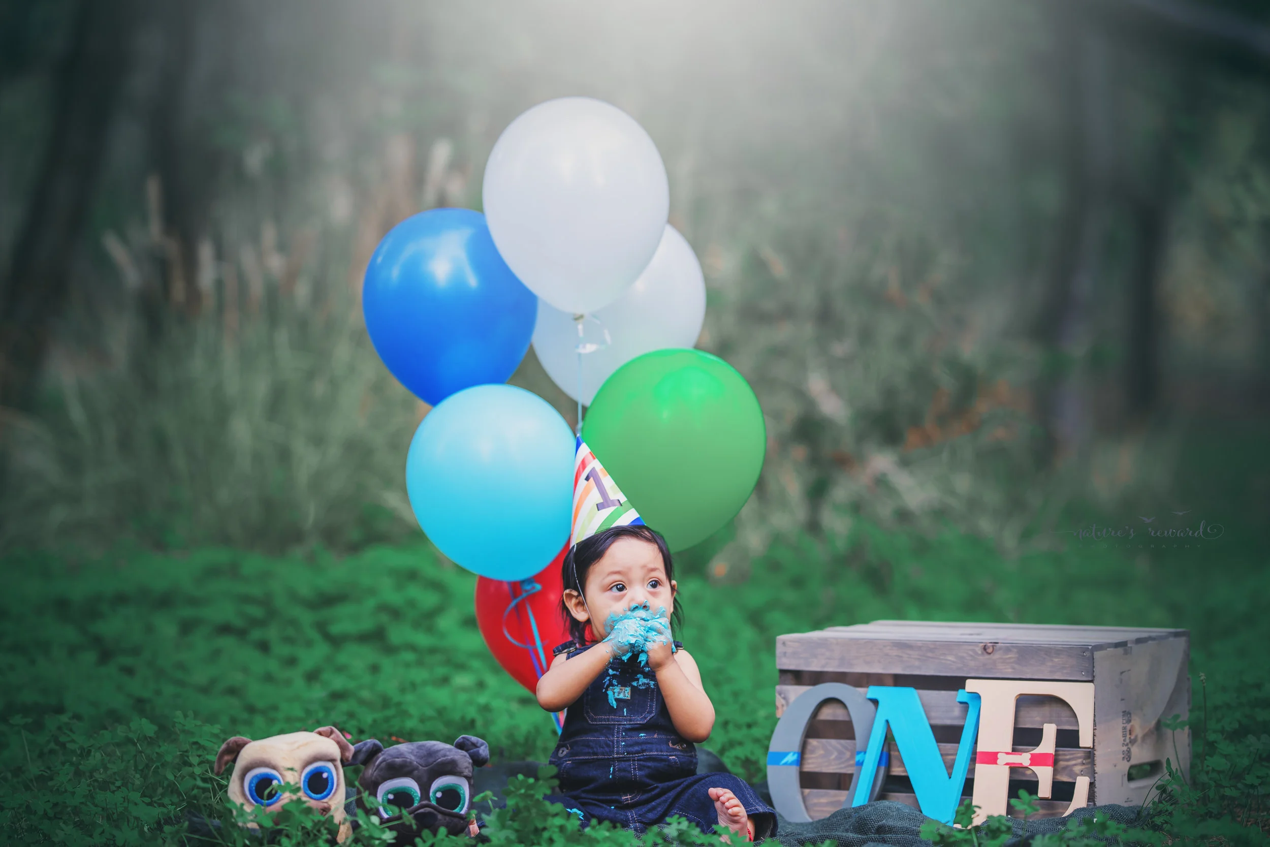 Cake smash portrait by Nature’s Reward Photography