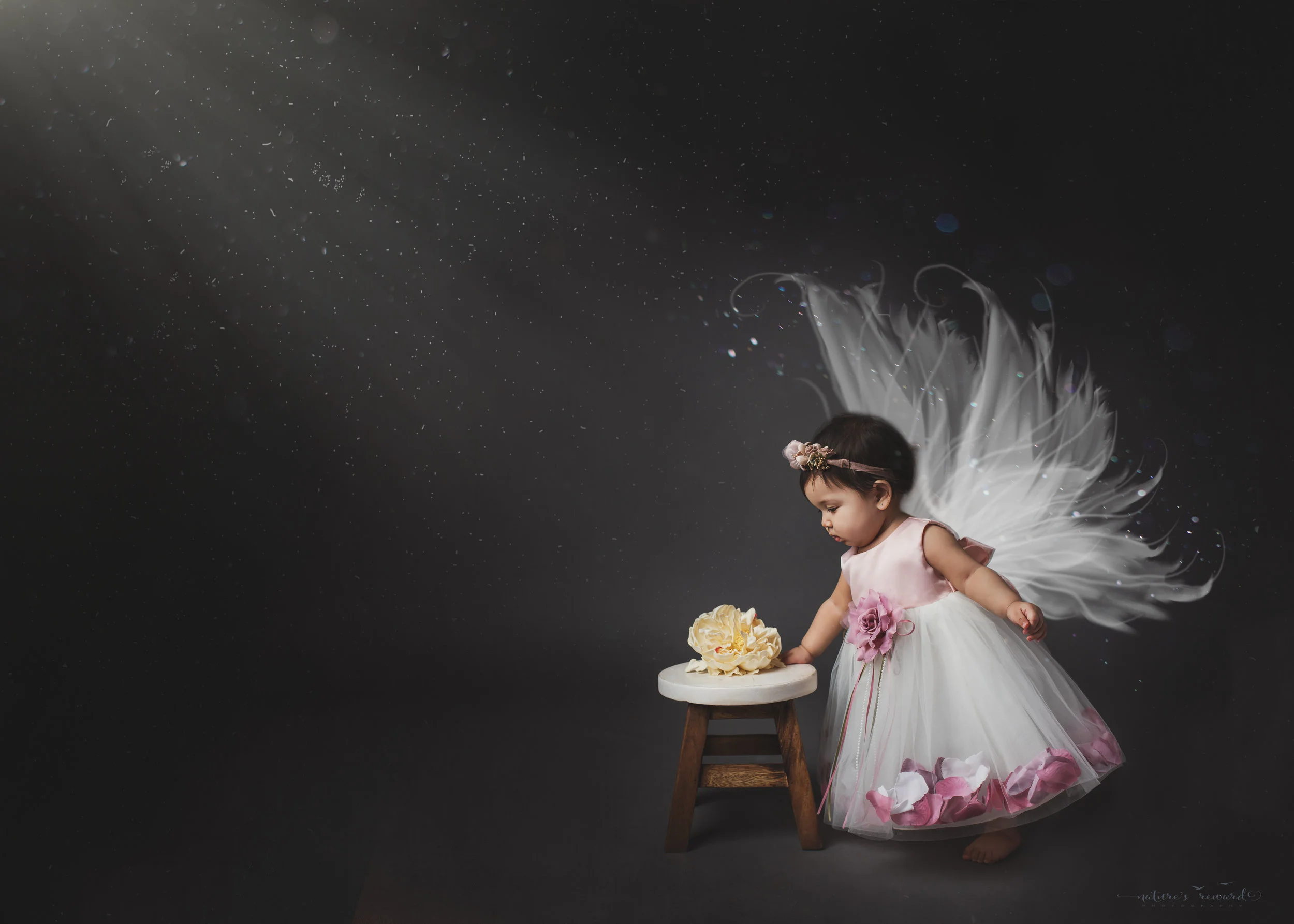 First year portrait, and a fairy at that, a portrait by Nature’s Reward Photography