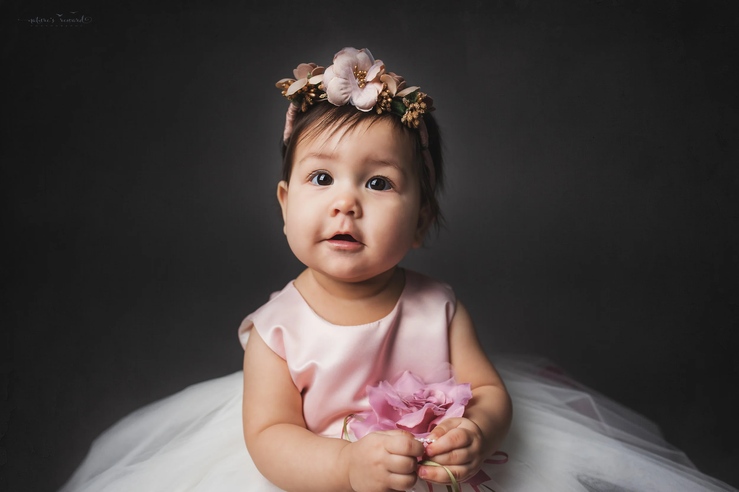 First year in a beautiful dress and flower crown, a portrait by Nature’s Reward Photography