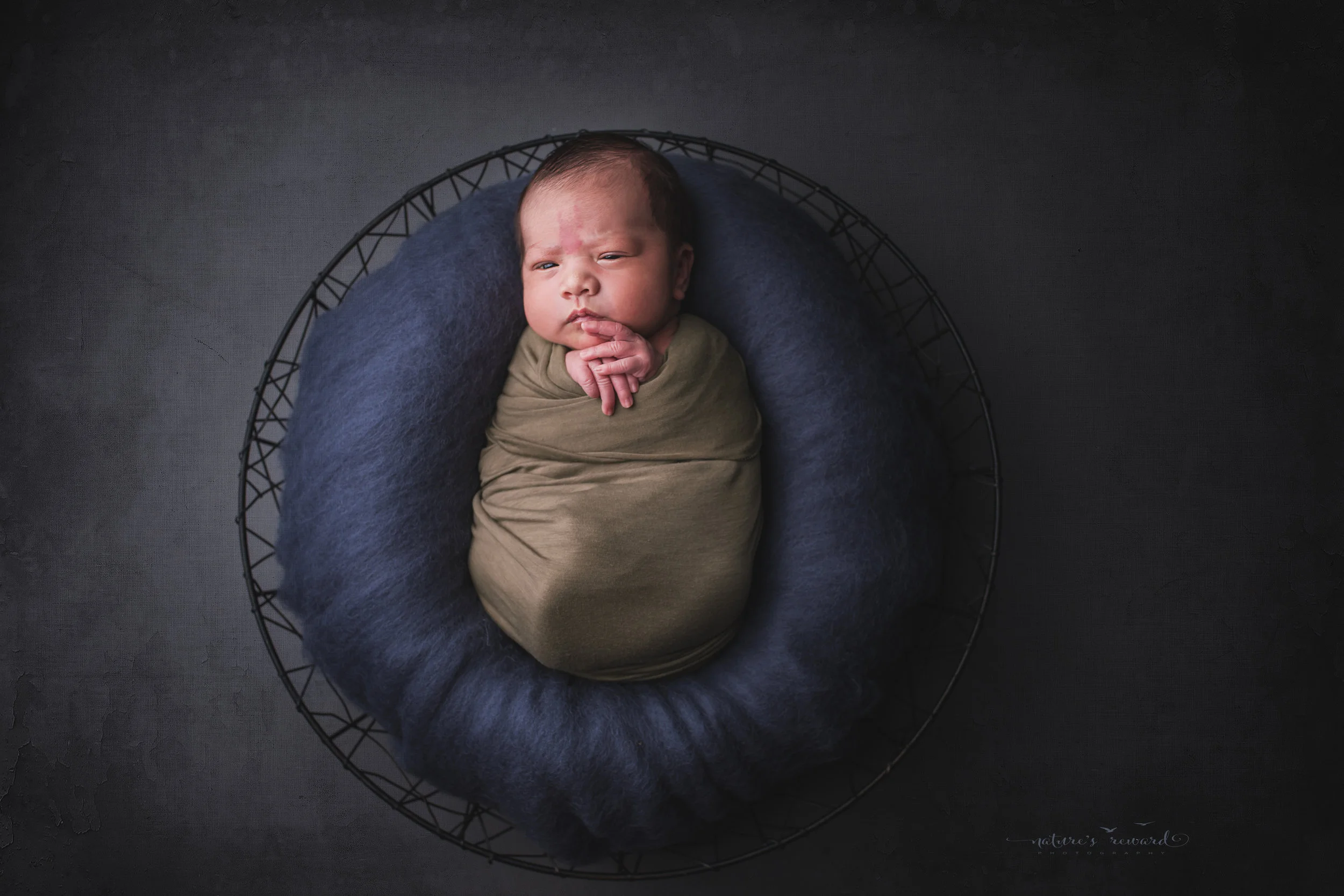 Army green on blue, a swaddled awake newborn a portrait by Nature’s Reward Photography