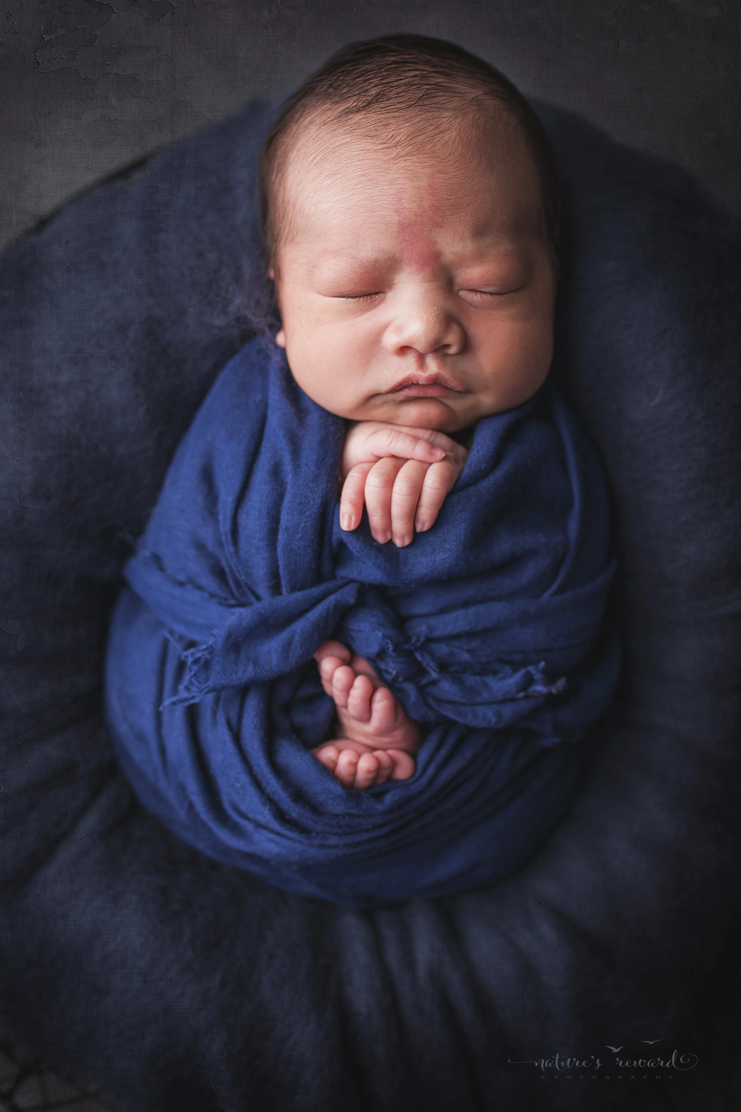 Newborn Baby Boy swaddled in blue, a portrait by Nature’s Reward Photography
