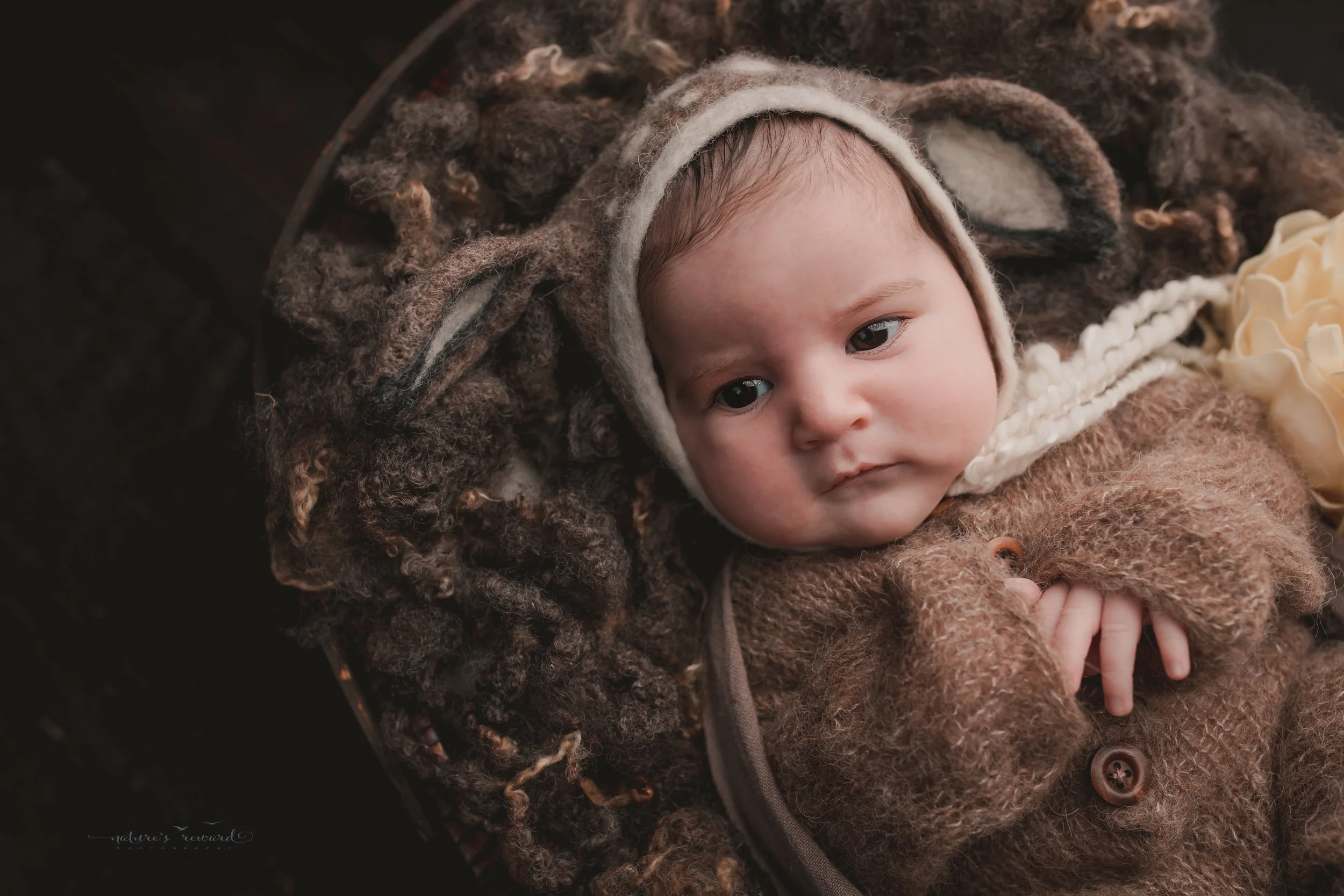 Newborn “deer” in a bed of fluff wide awake- a portrait by Nature’s Reward Photography