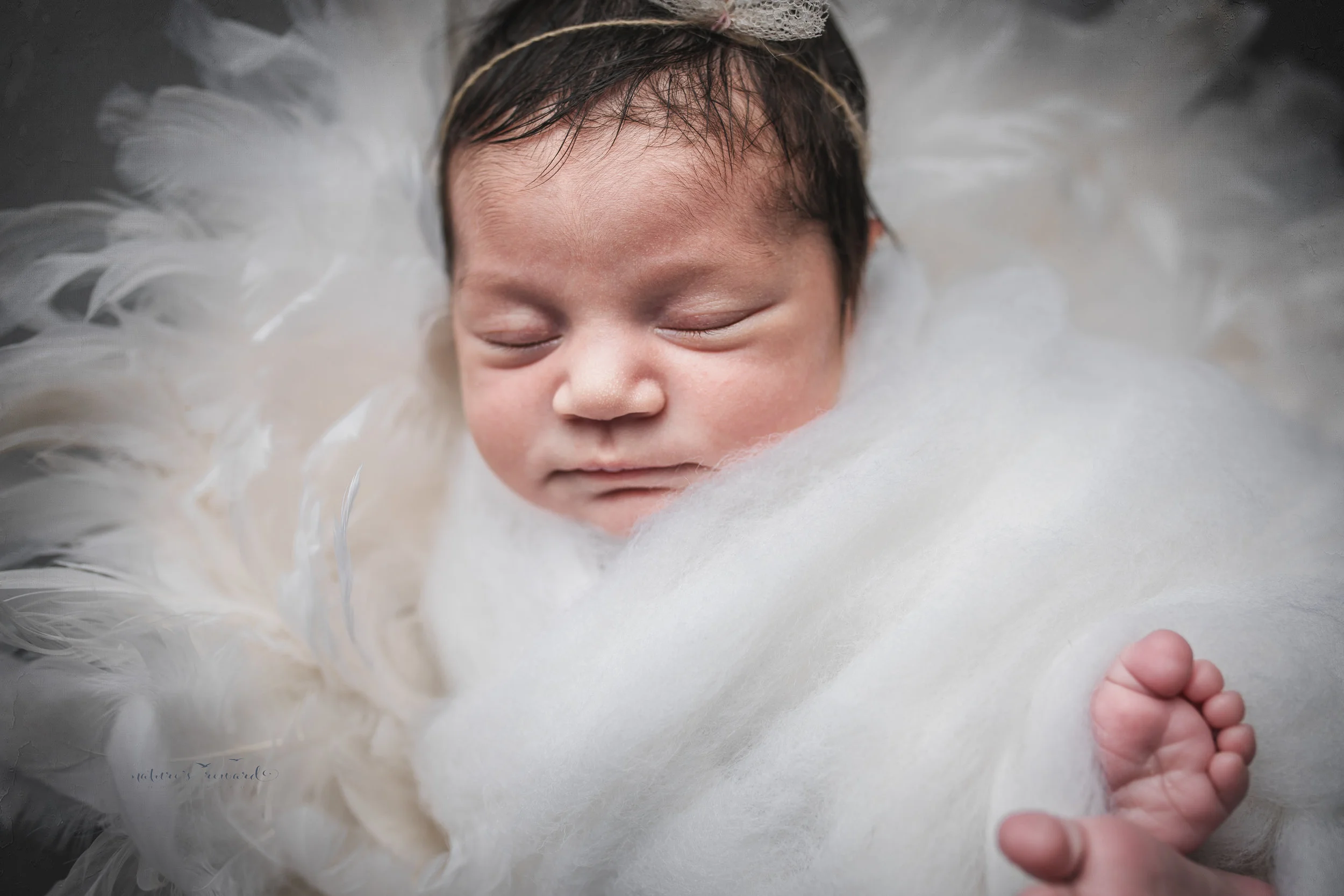 Swaddled in white fluff on a bed of feathers, a newborn baby girls session by Nature’s Reward Photography
