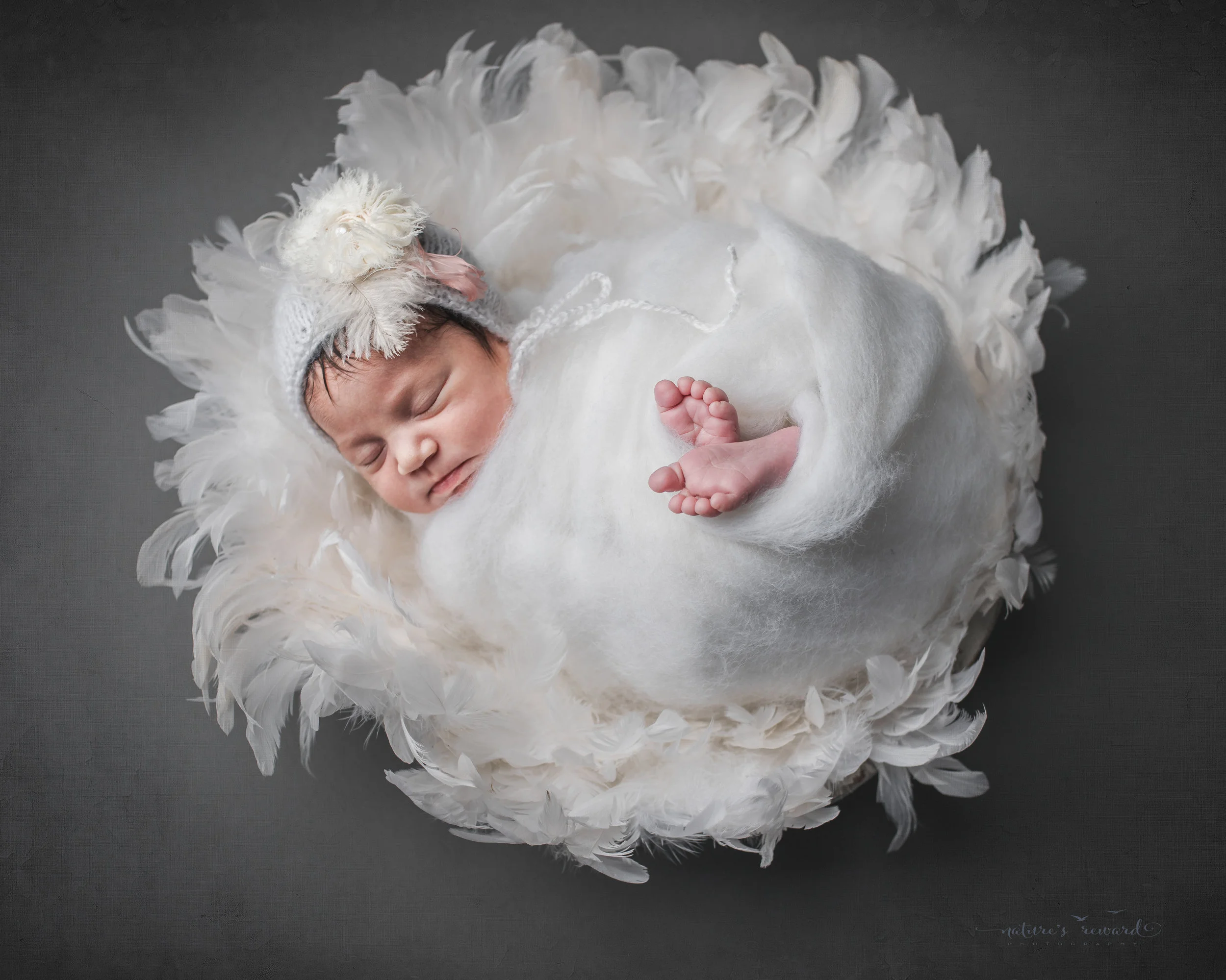 Swaddled in white fluff on a bed of feathers, a newborn baby girls session by Nature’s Reward Photography